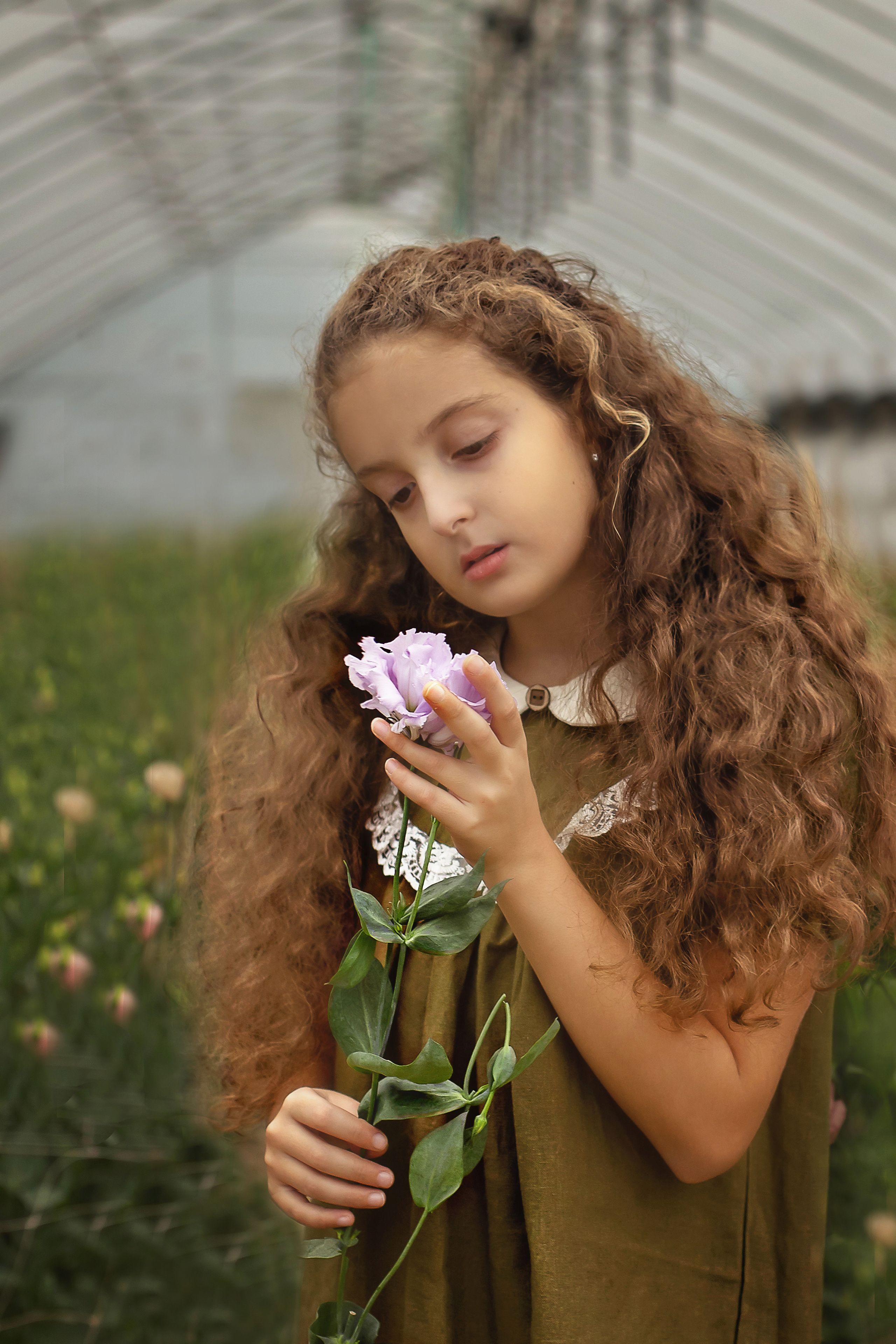 «Теплица». Женский и семейный фотограф
