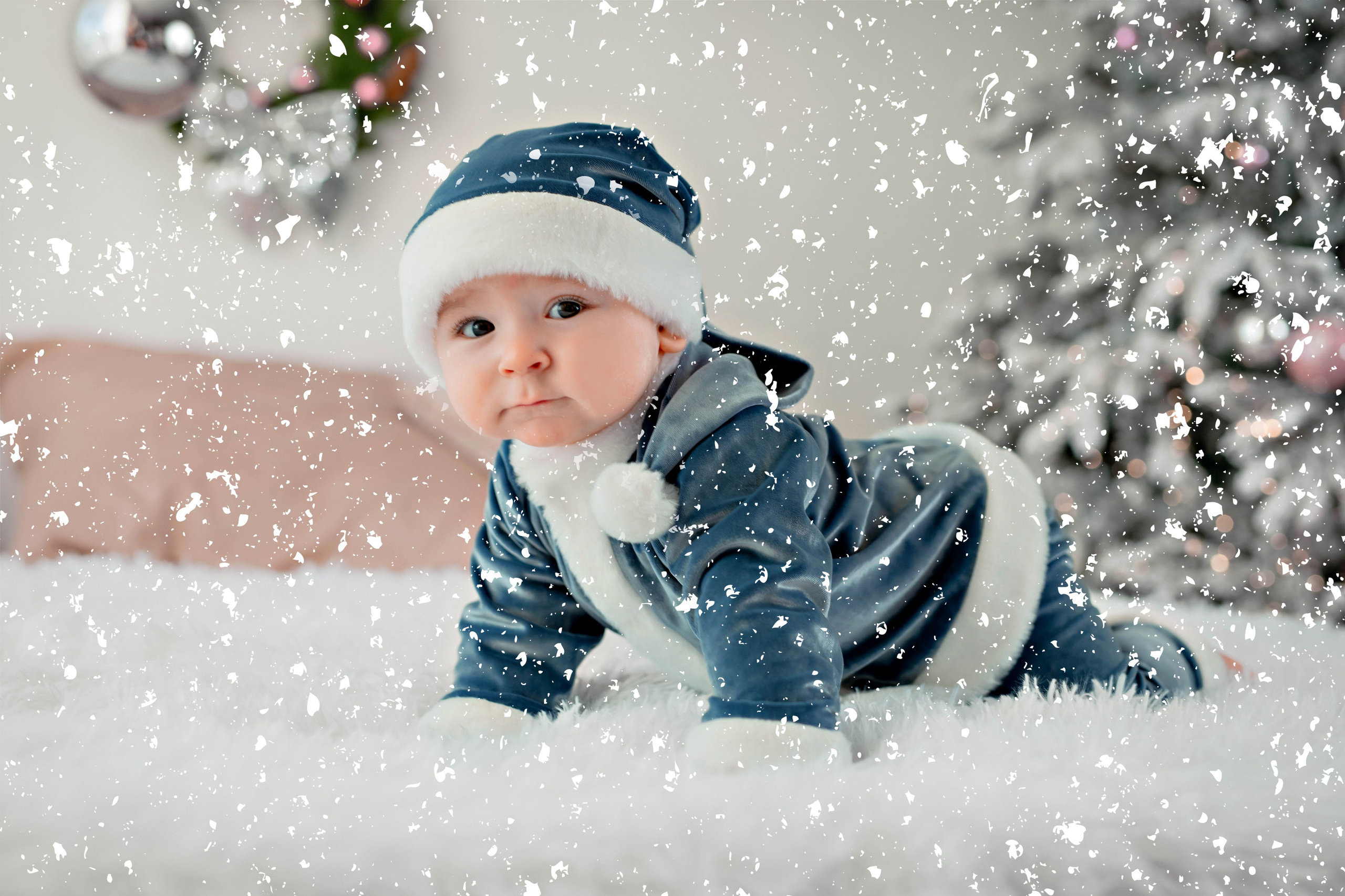 Новый год. Фотограф Болотова Иветта