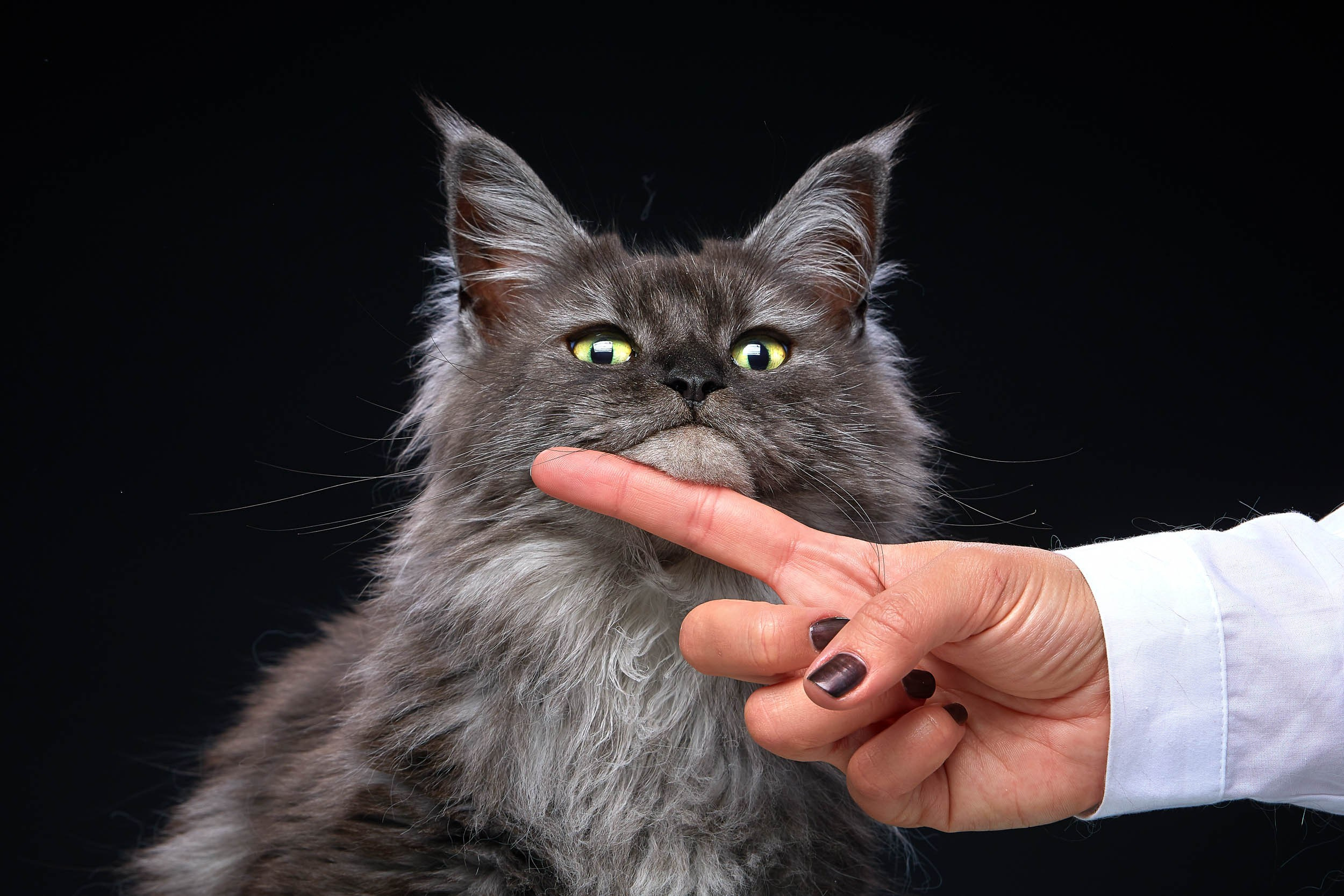 Фотопроекты и съемки на природе, с лошадьми, самолетами и авто. Выездная фотосессия. Фотограф, фотопроекты Михаила Семенова в Ярославле. Фотошкола