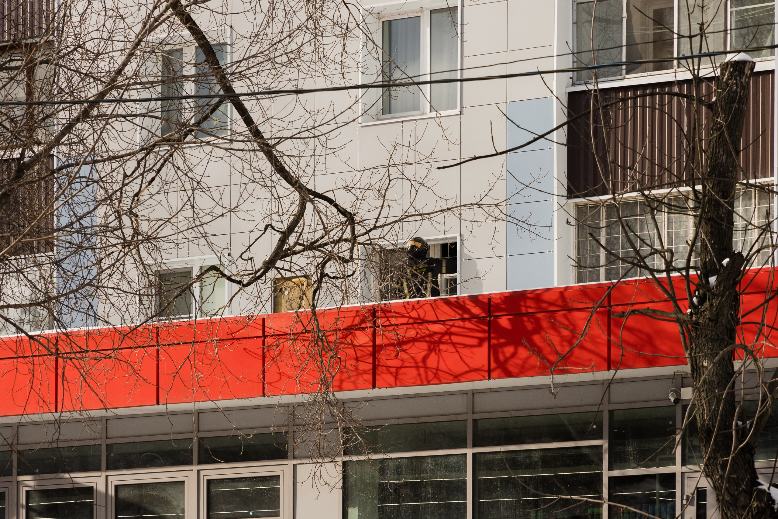 Часть. DASHA KALNINA