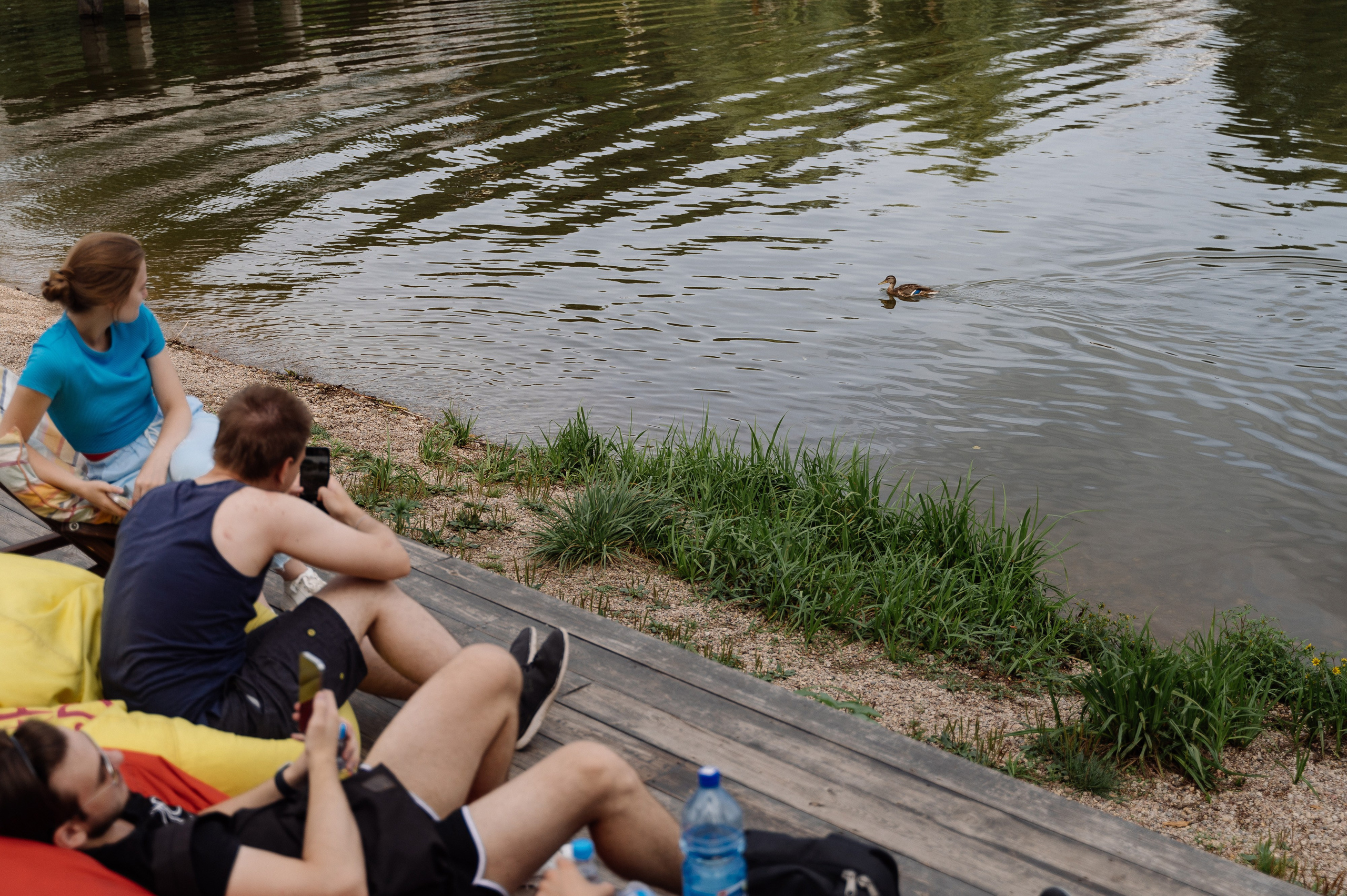 Yandex. Свадебный фотограф Минск