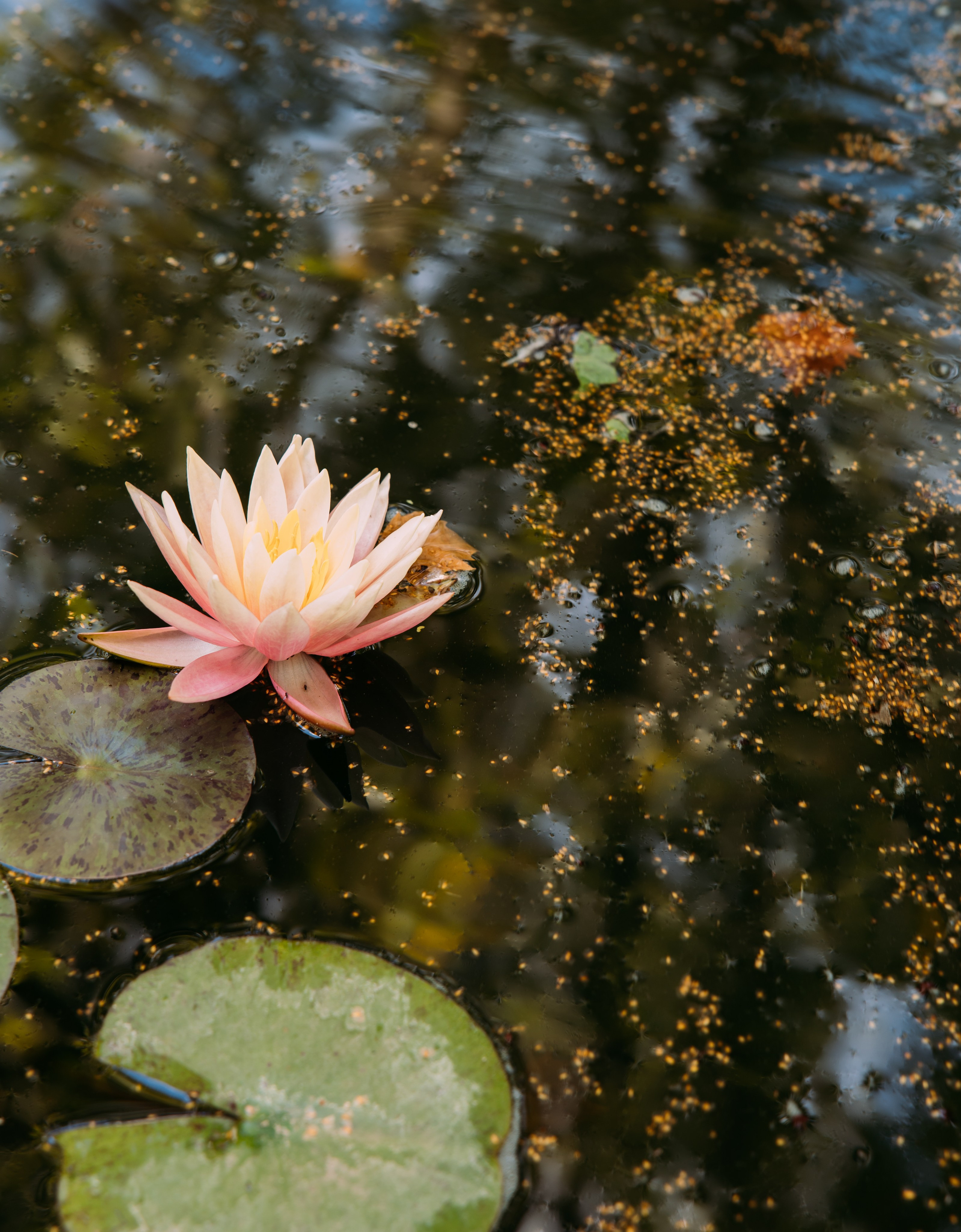 ФОТО ТУРЫ ПО МИРУ. Фотограф Марина Аблаева-Кожедуб