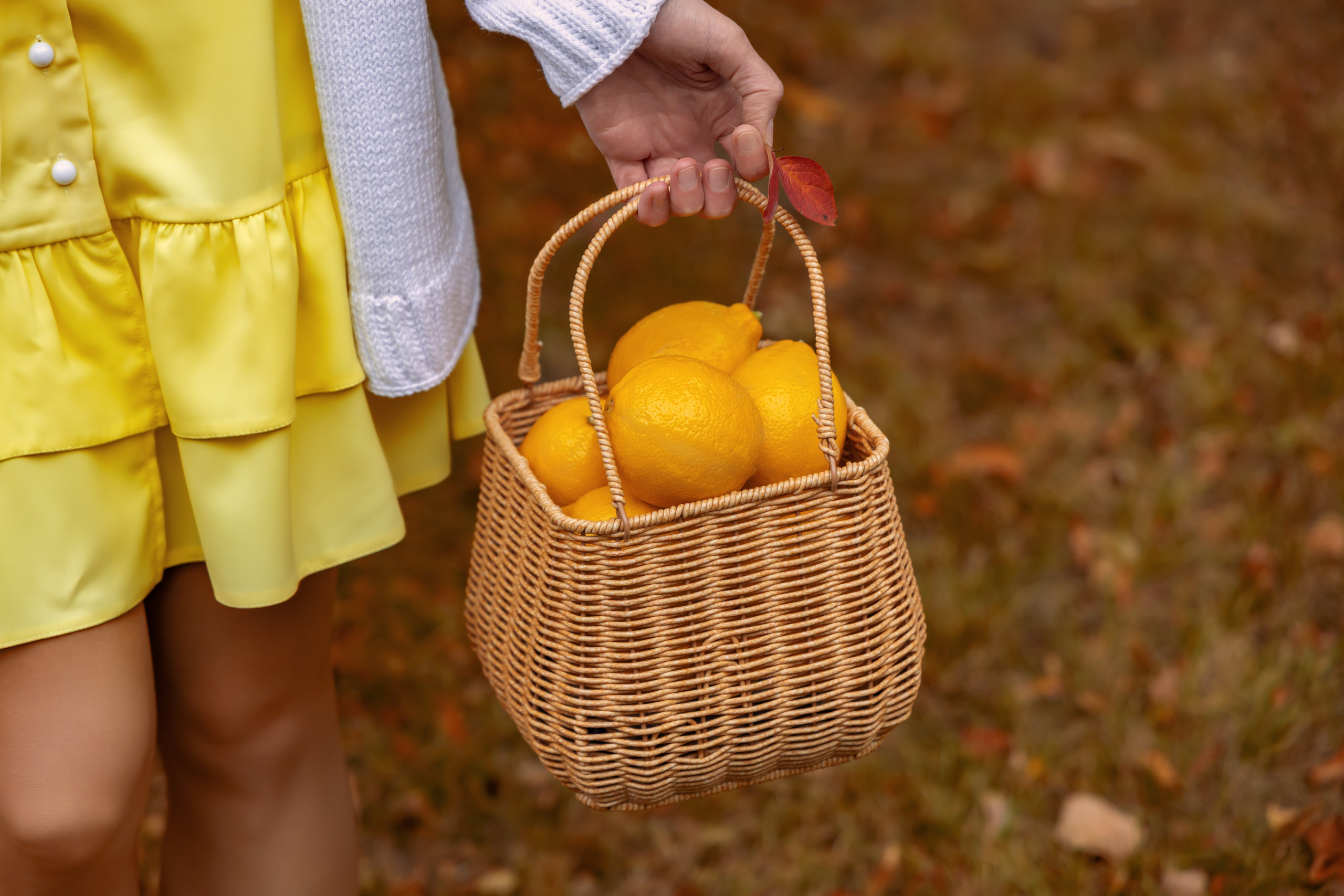 Жёлтая осень и ретро-велосипед. Репортажный, семейный и студийный фотограф в Москве Демин Алексей
