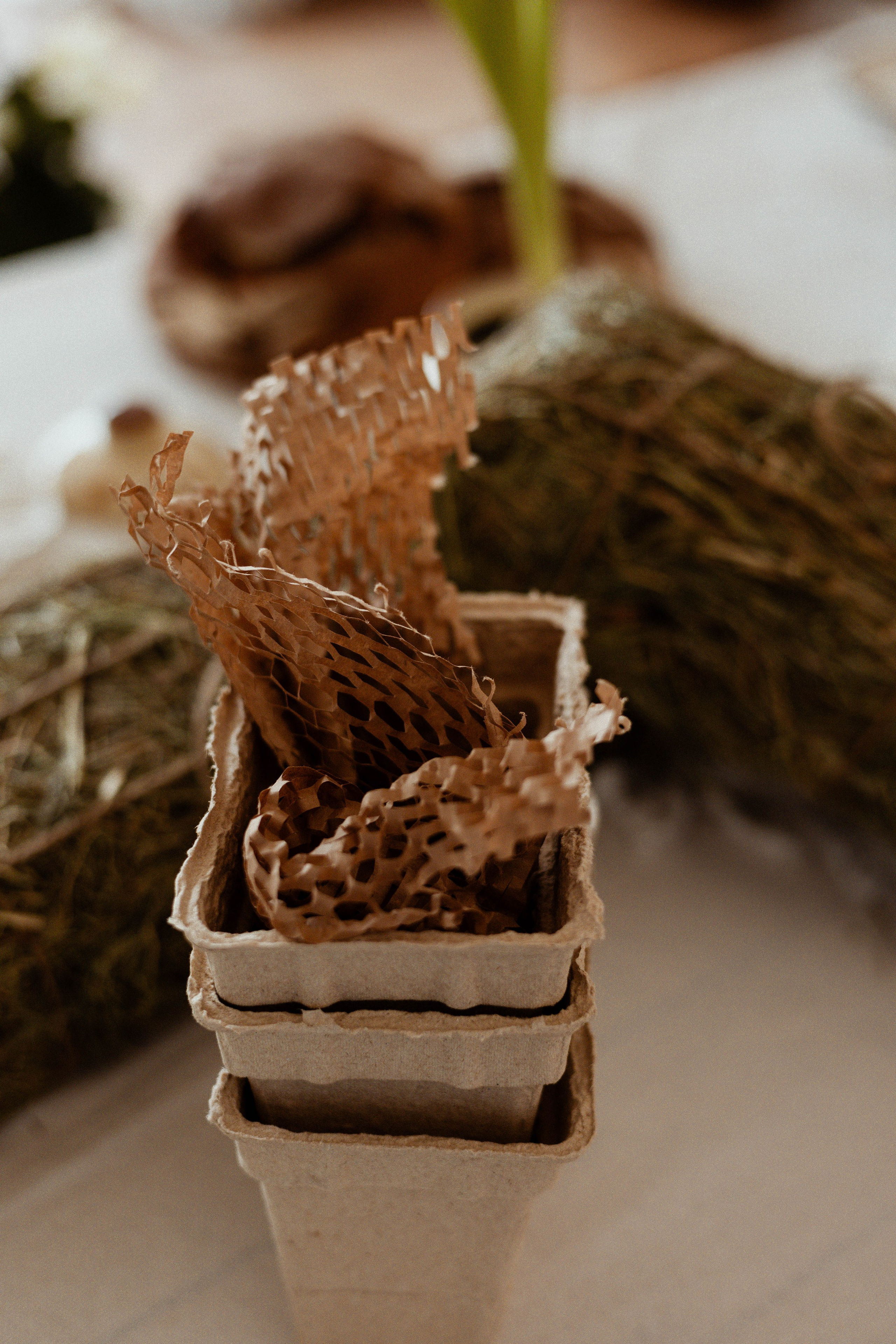 Елизавета. Фотограф Абронина Любовь | Москва