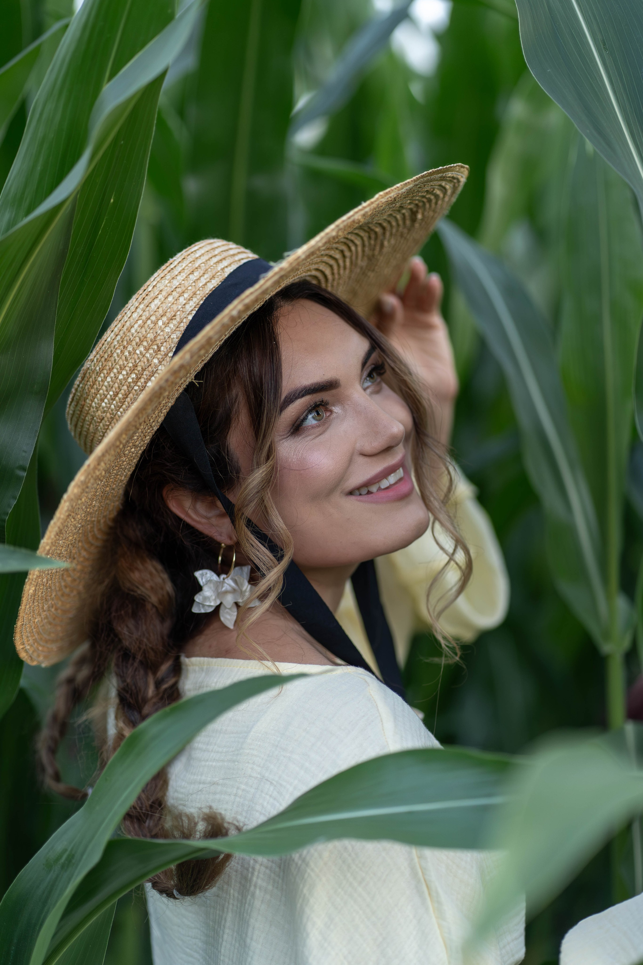 Кукурузное поле. Главная