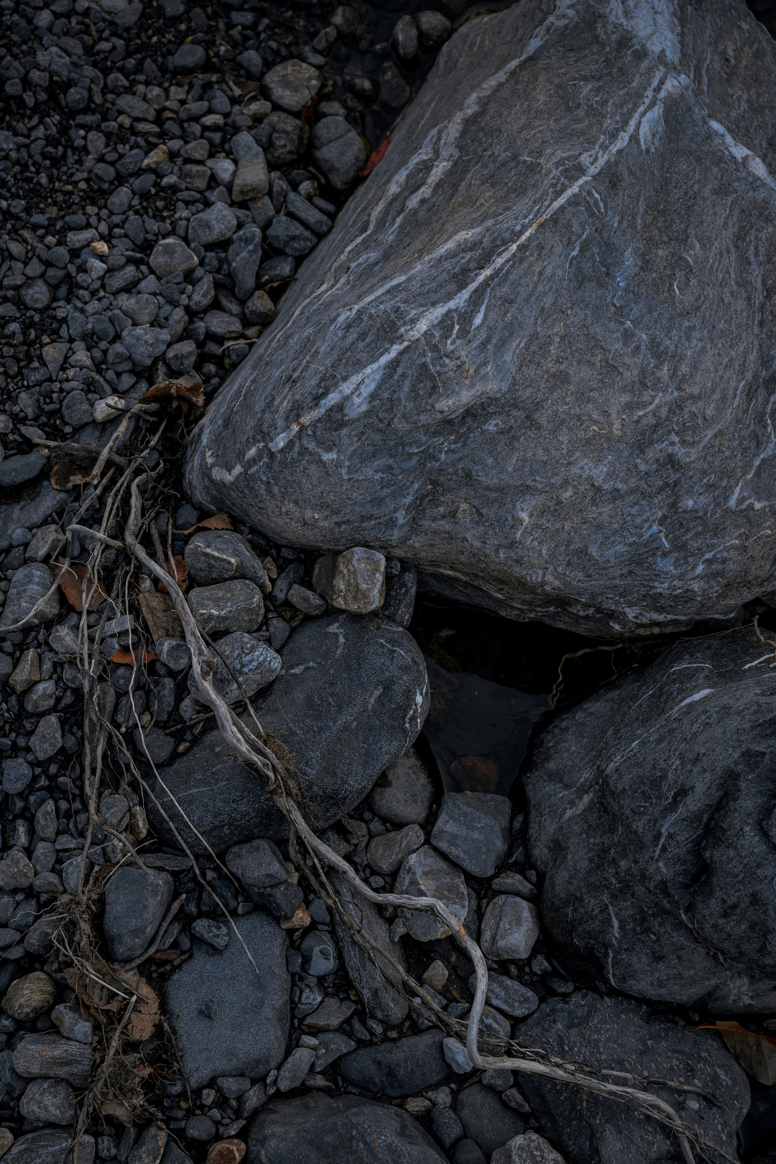 Вдоль по реке Домбай-Ульген. Юля Дэй • Фотограф, Санкт-Петербург