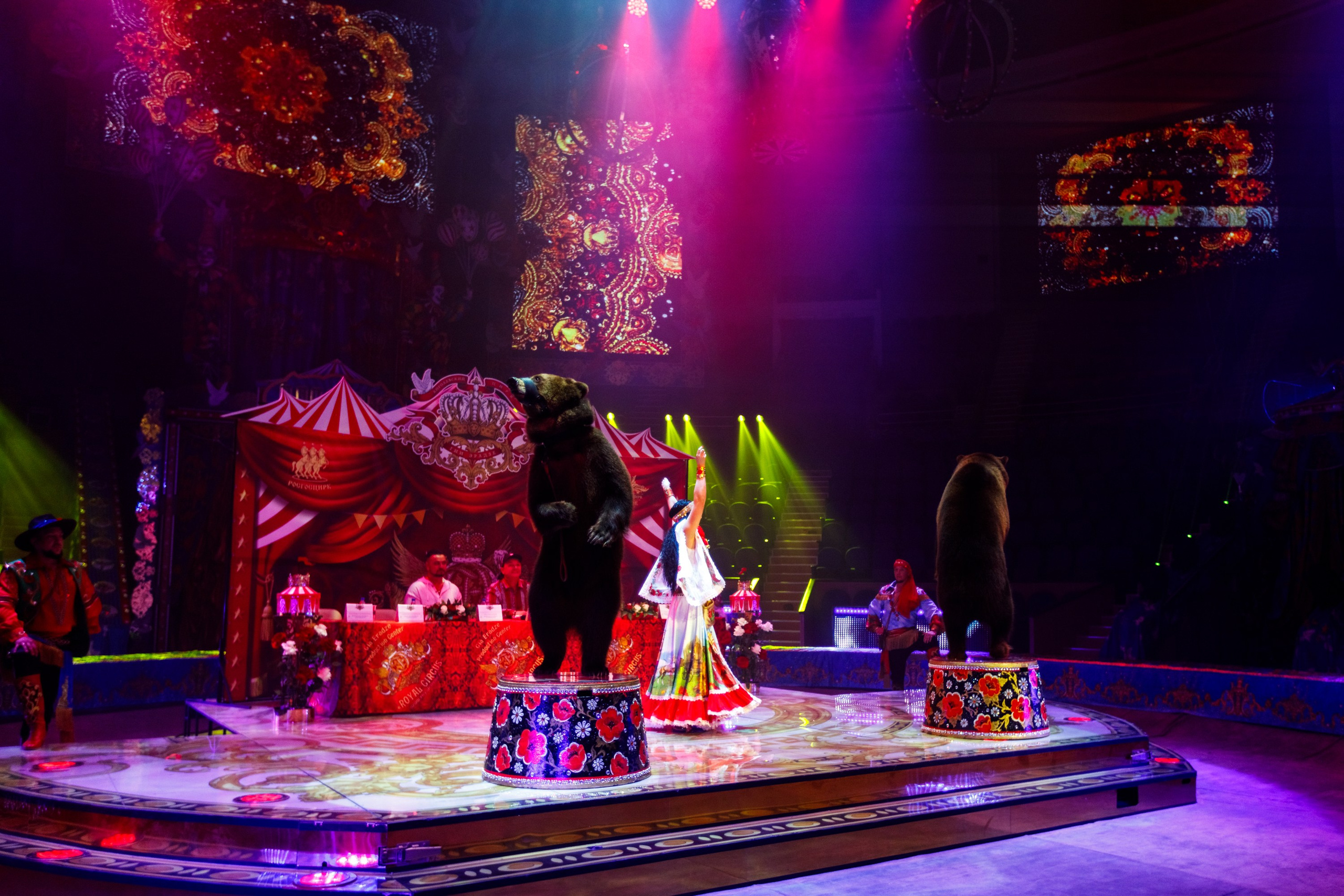 Сочинский росгорцирк Шоу Гии Эрадзе цирк. Профессиональный фотограф в Сочи Виктория Джой. Обучение