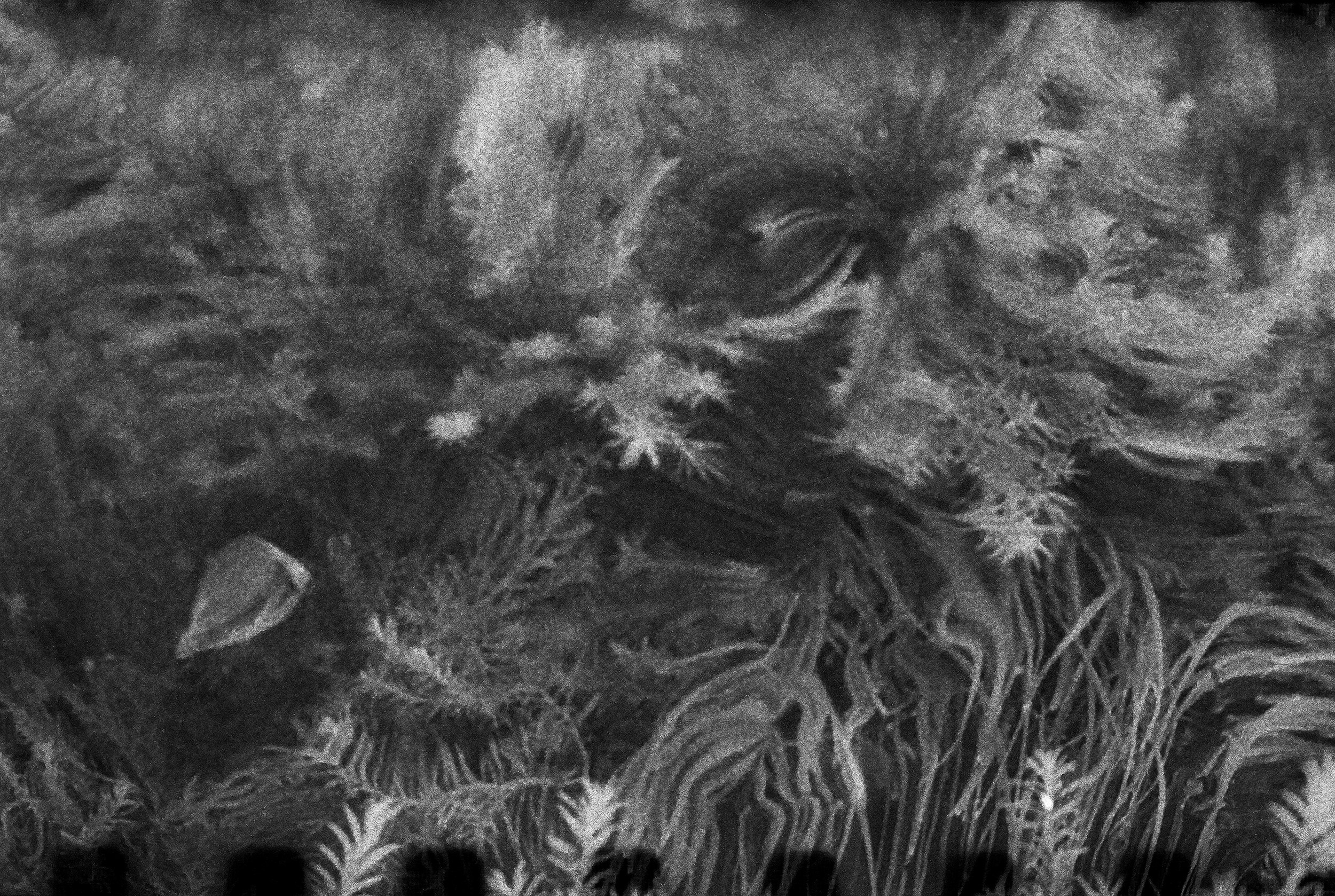 HOME (ongoing project). Photographer Дарья