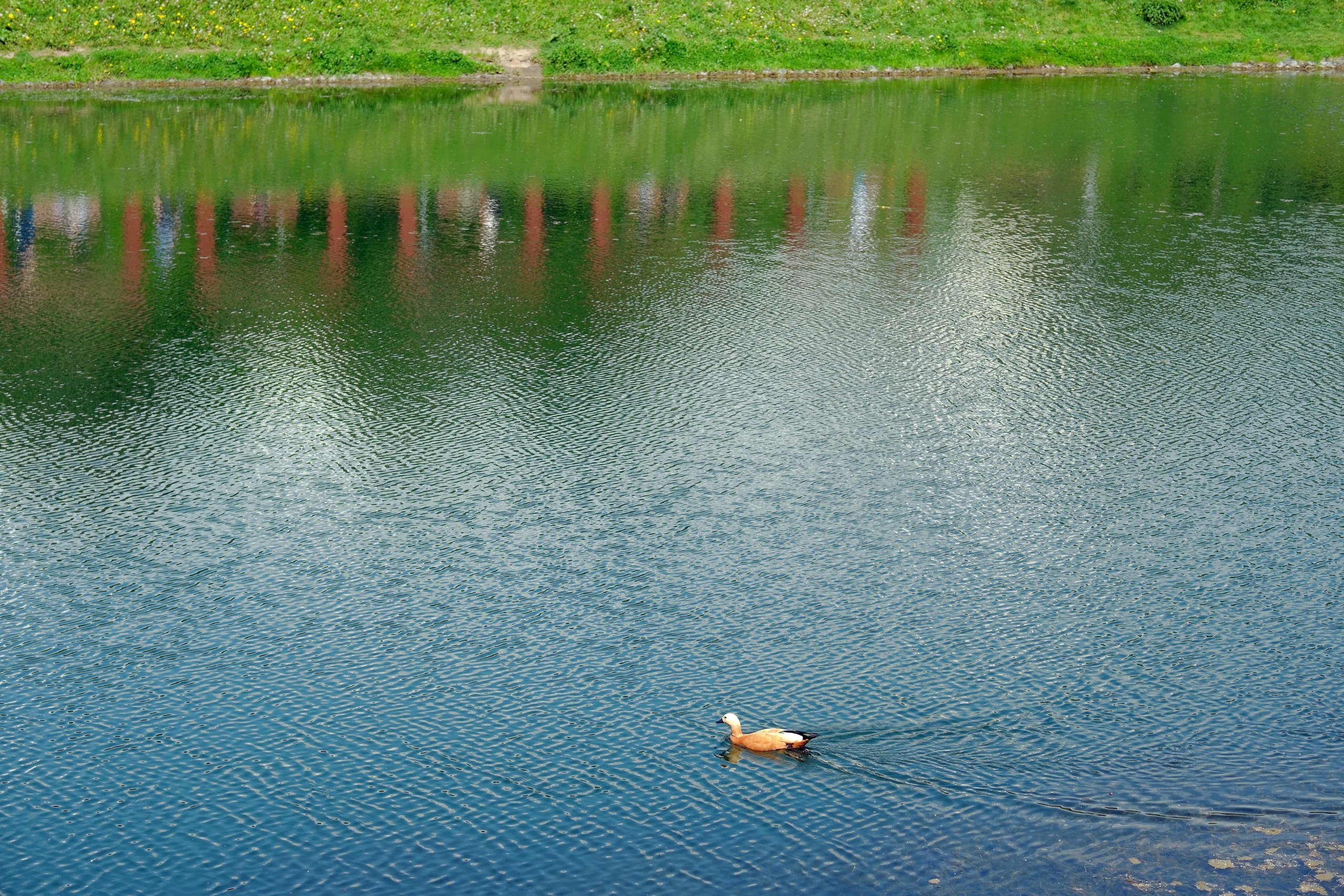 Кировоградские каскадные пруды 2024. Улица, люди, жизнь…