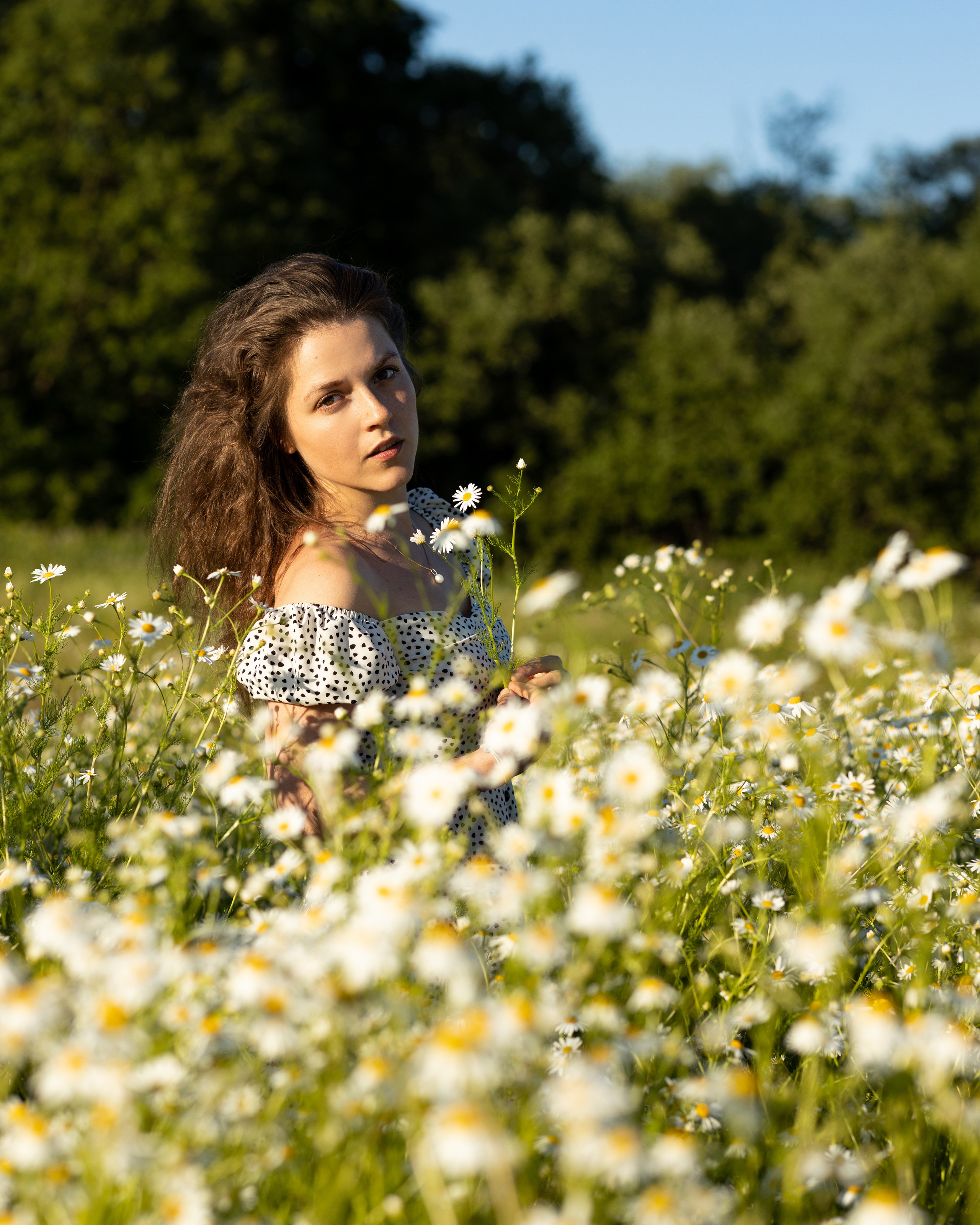 Привет, ромашки!. Портретный фотограф Екатерина Лысенко, Москва