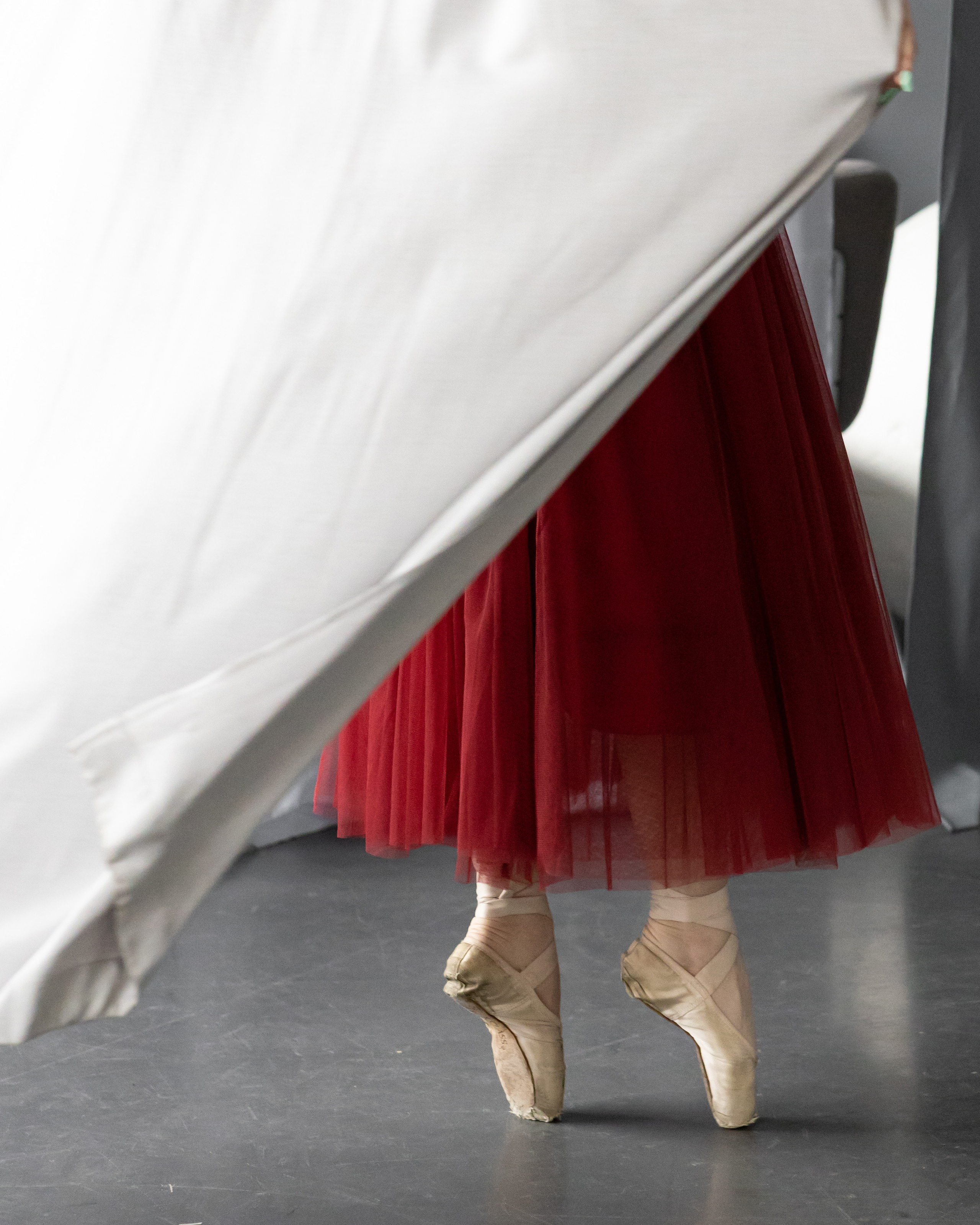 Хореограф. Фотосессия в студии. Портретный фотограф Екатерина Лысенко, Москва