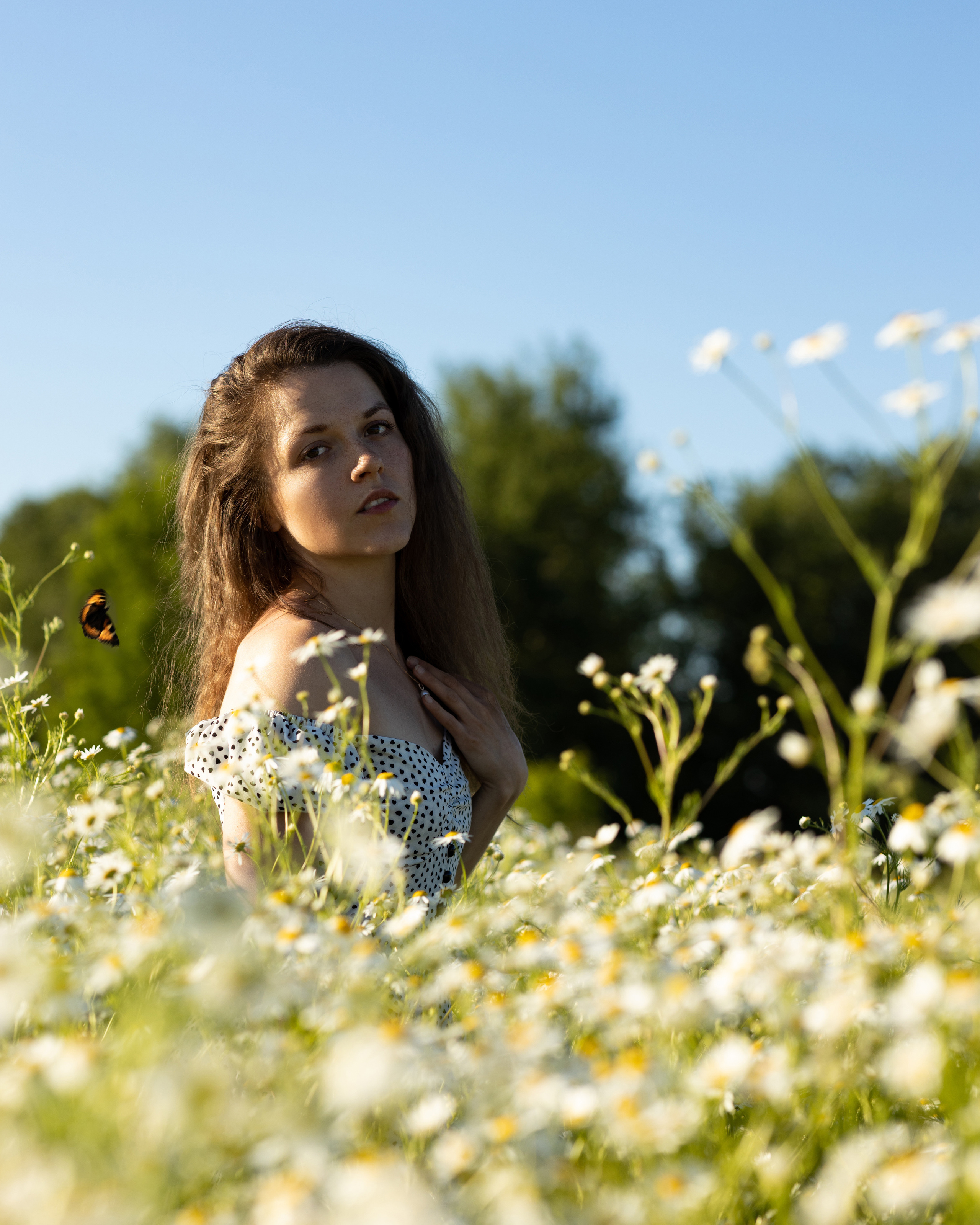 Привет, ромашки!. Портретный фотограф Екатерина Лысенко, Москва
