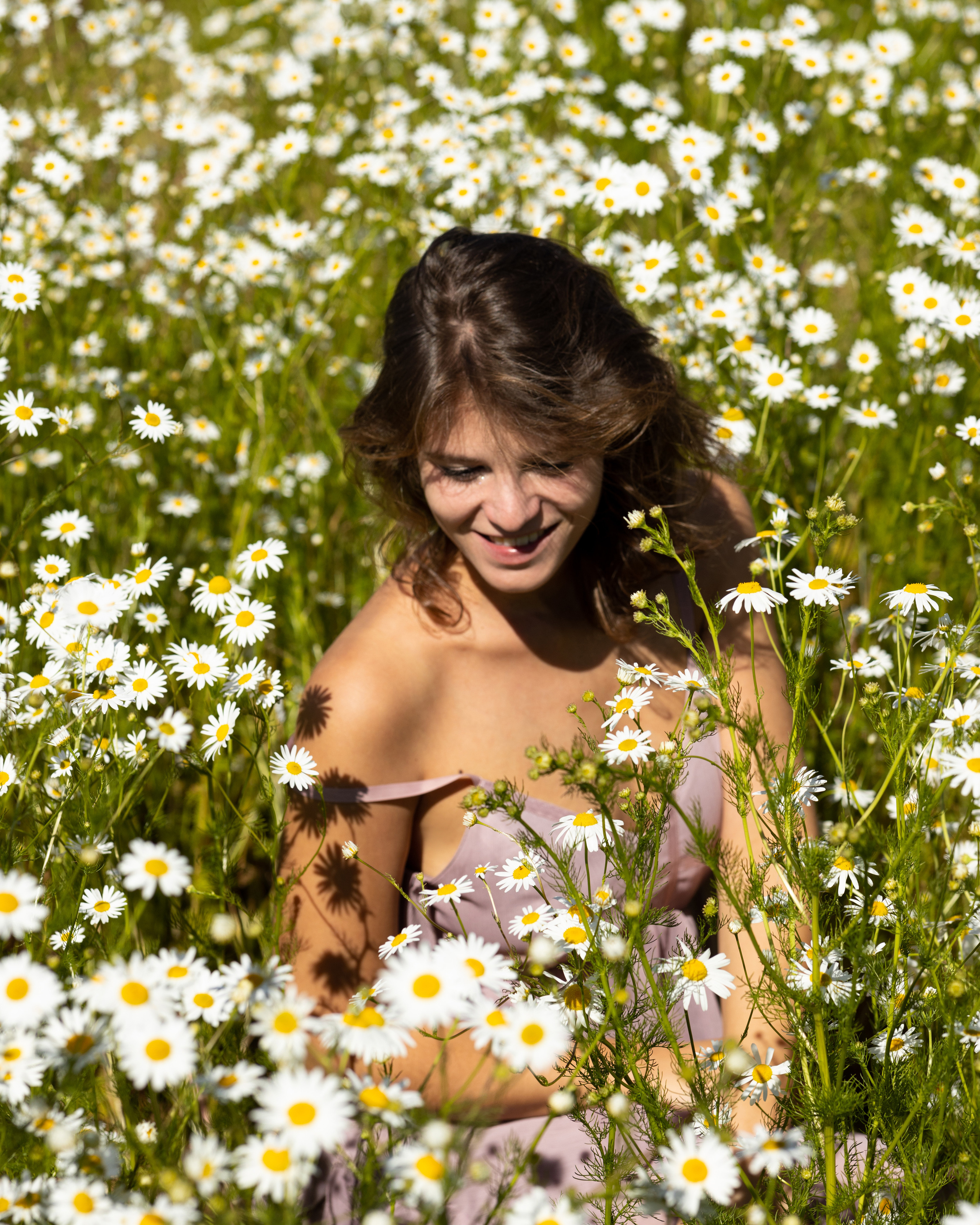 Фотосессия в цветочном поле. Портретный фотограф Екатерина Лысенко, Москва