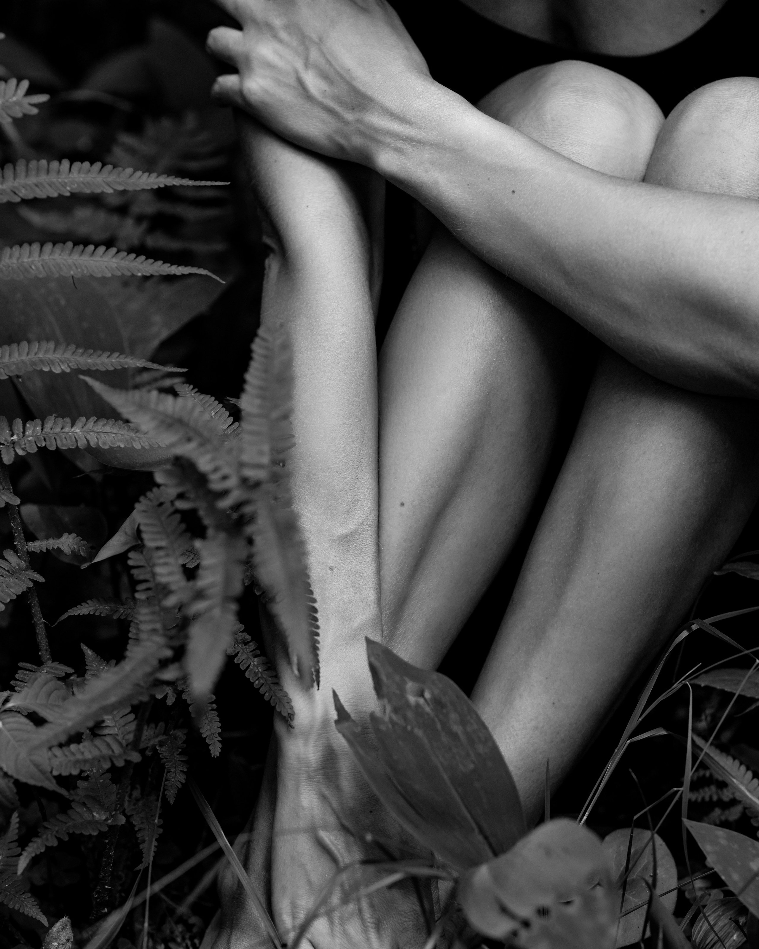 Фотосессия в лесу. Портретный фотограф Екатерина Лысенко, Москва