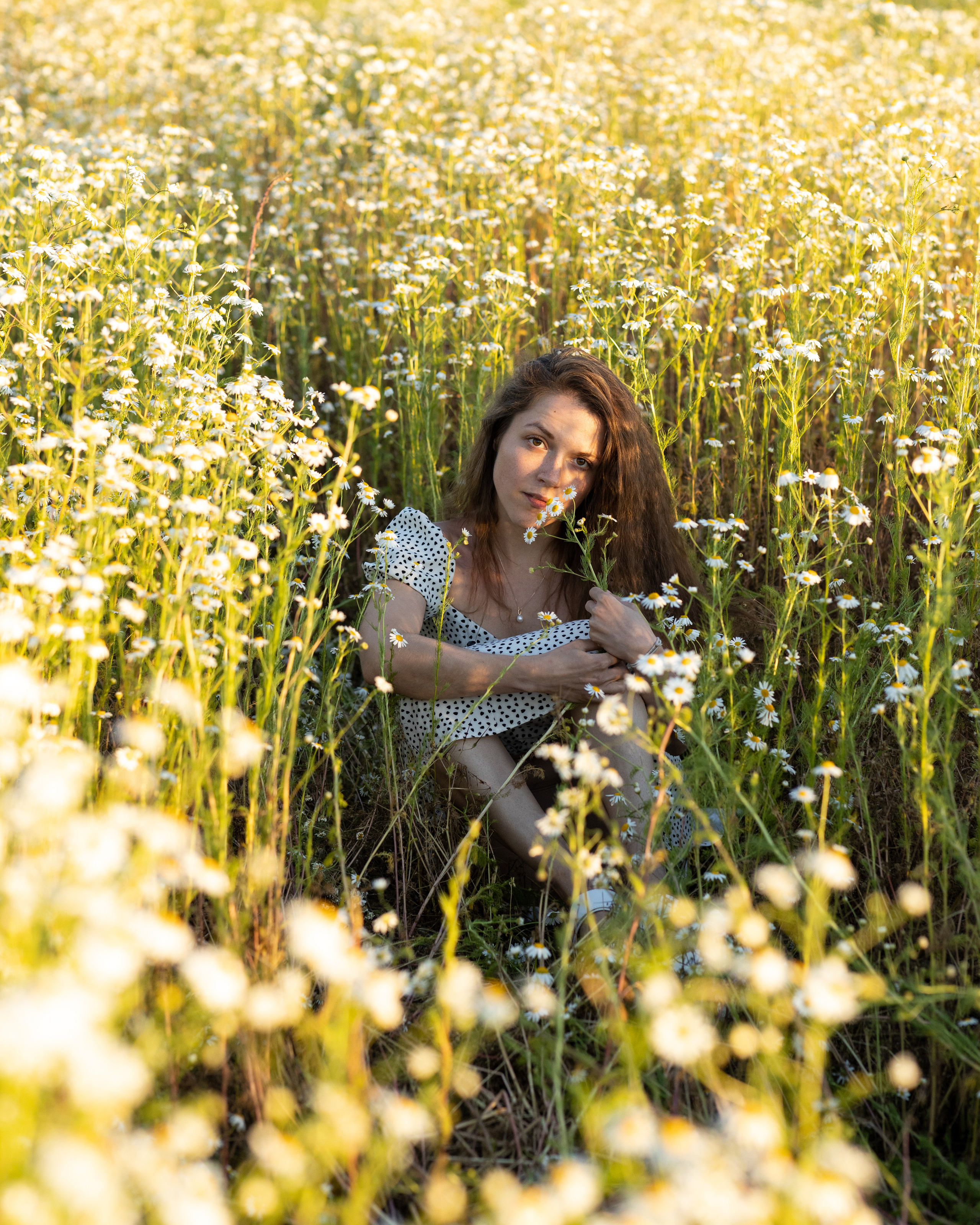 Привет, ромашки!. Портретный фотограф Екатерина Лысенко, Москва