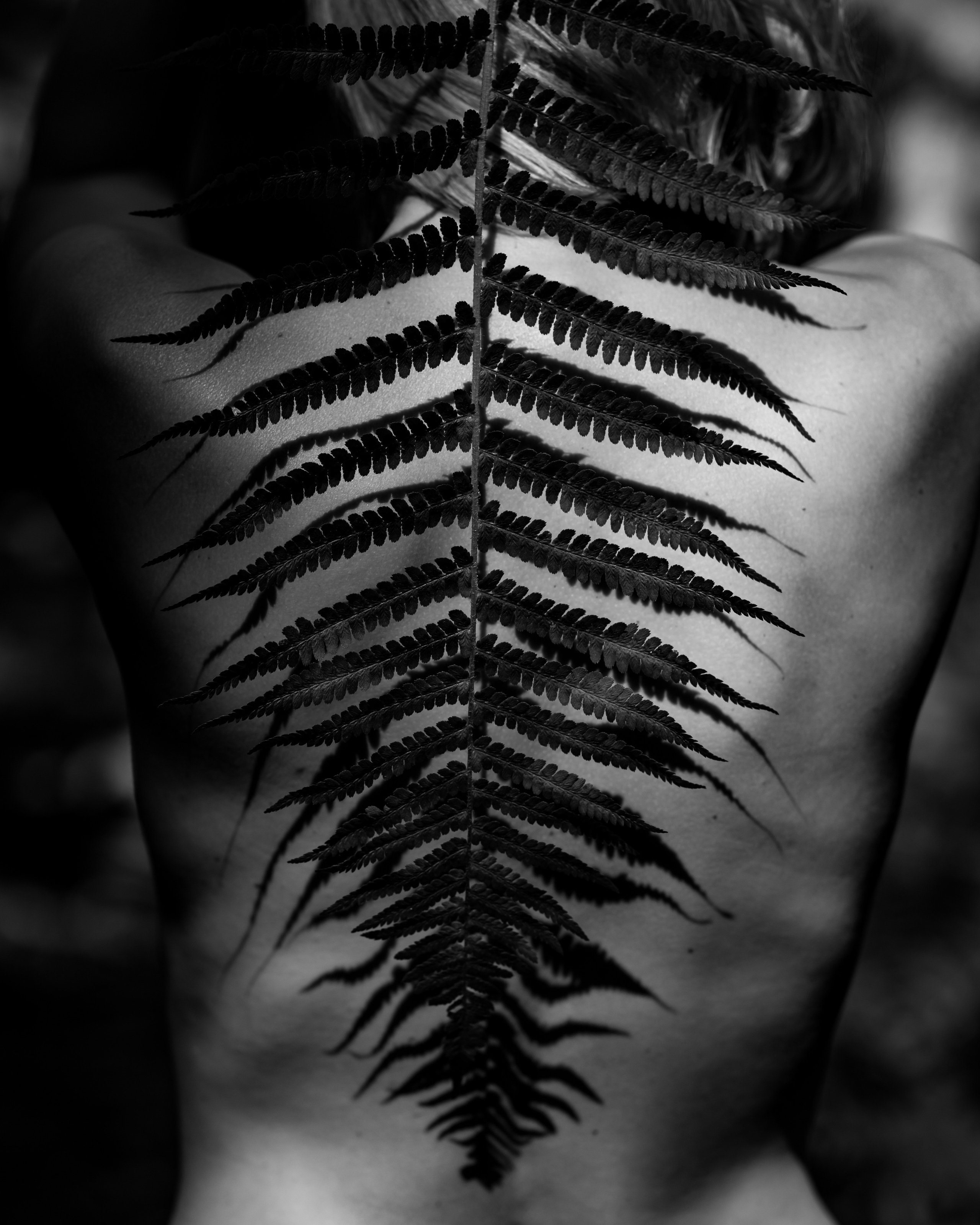 Фотосессия в лесу. Портретный фотограф Екатерина Лысенко, Москва