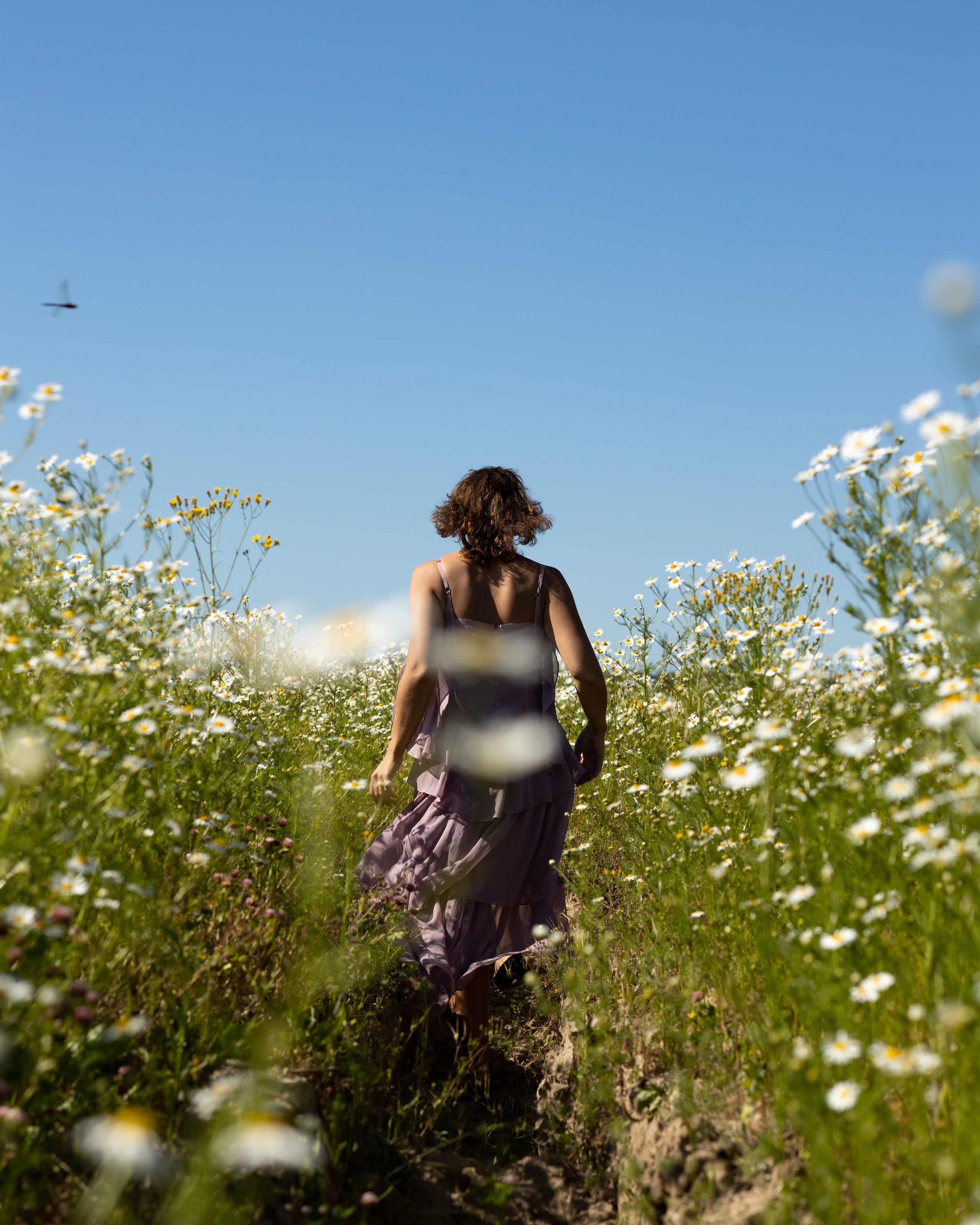 Фотосессия в цветочном поле. Портретный фотограф Екатерина Лысенко, Москва