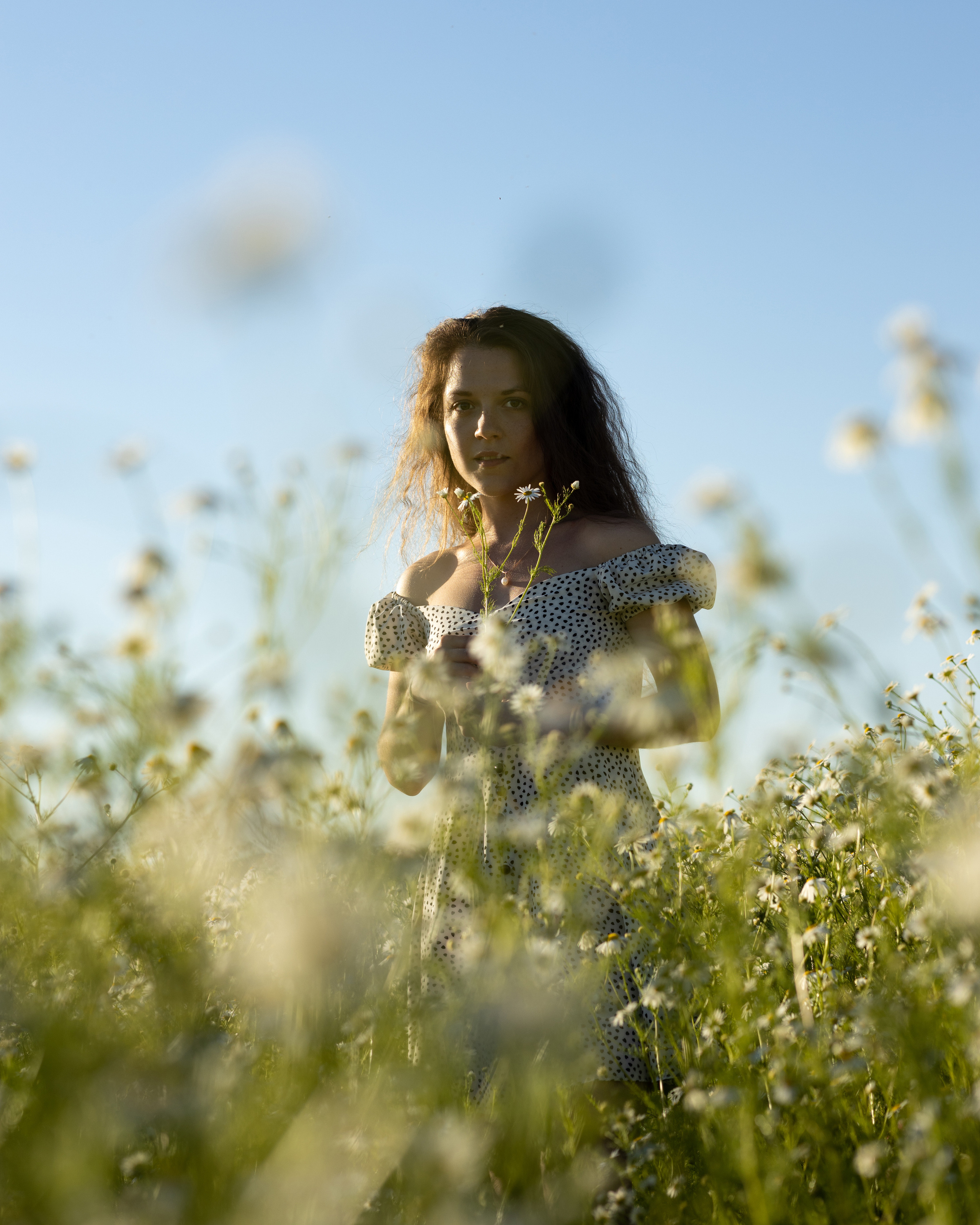 Привет, ромашки!. Портретный фотограф Екатерина Лысенко, Москва