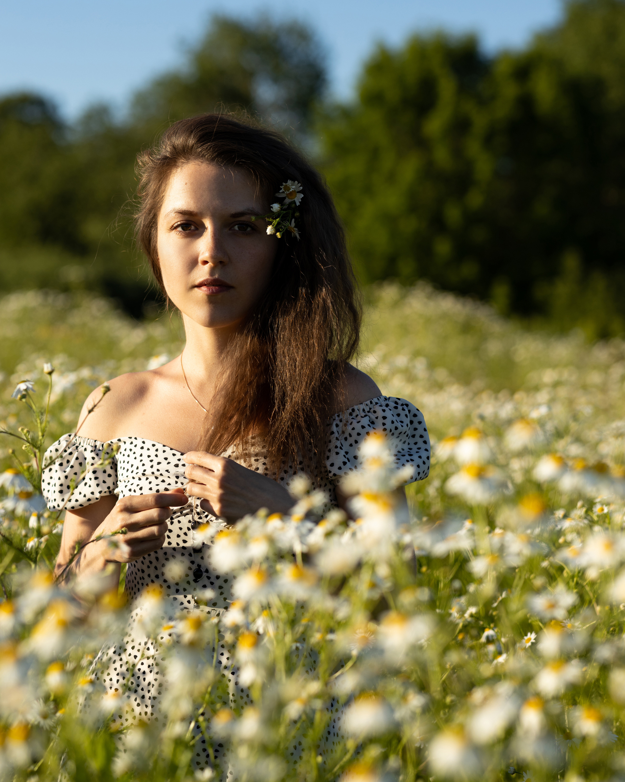Привет, ромашки!. Портретный фотограф Екатерина Лысенко, Москва