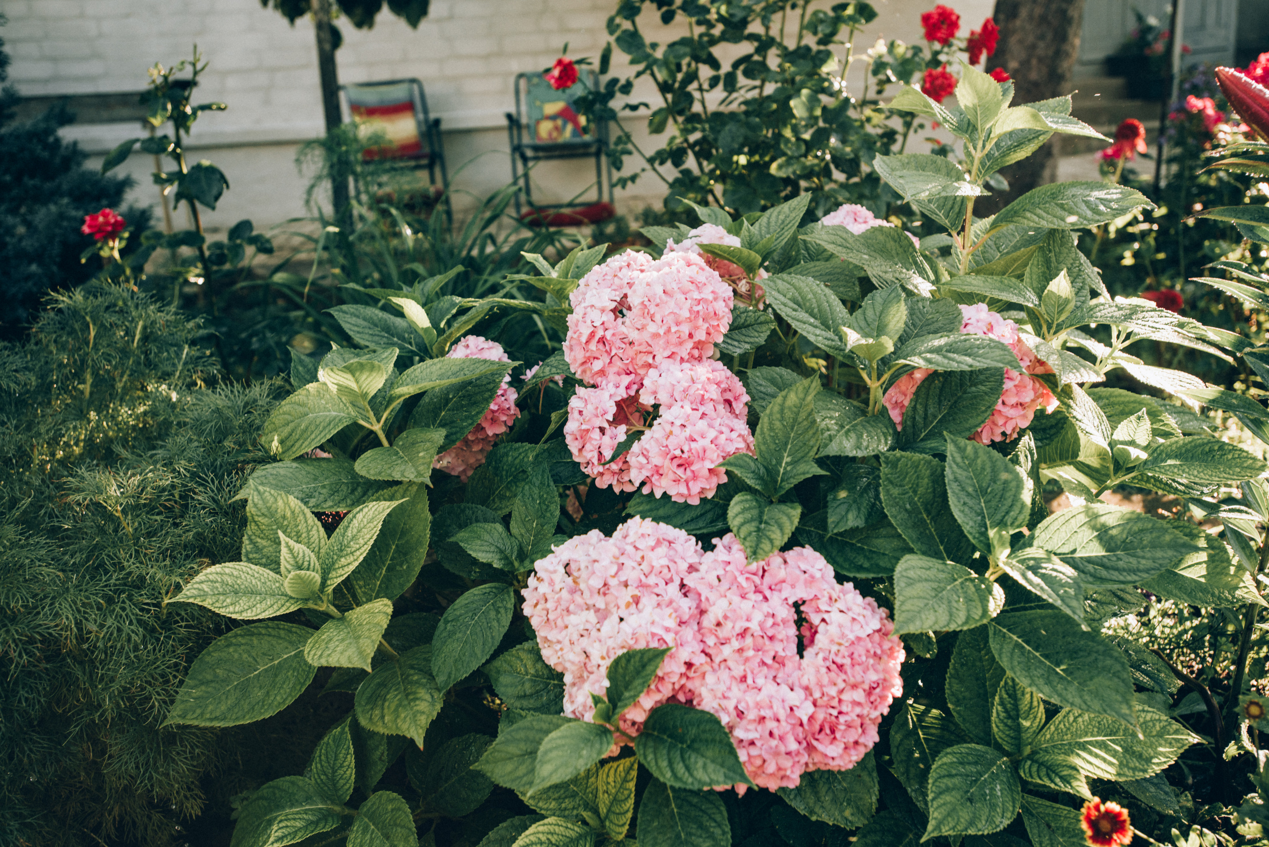 Черепановы. Фотограф Милка Татьяна