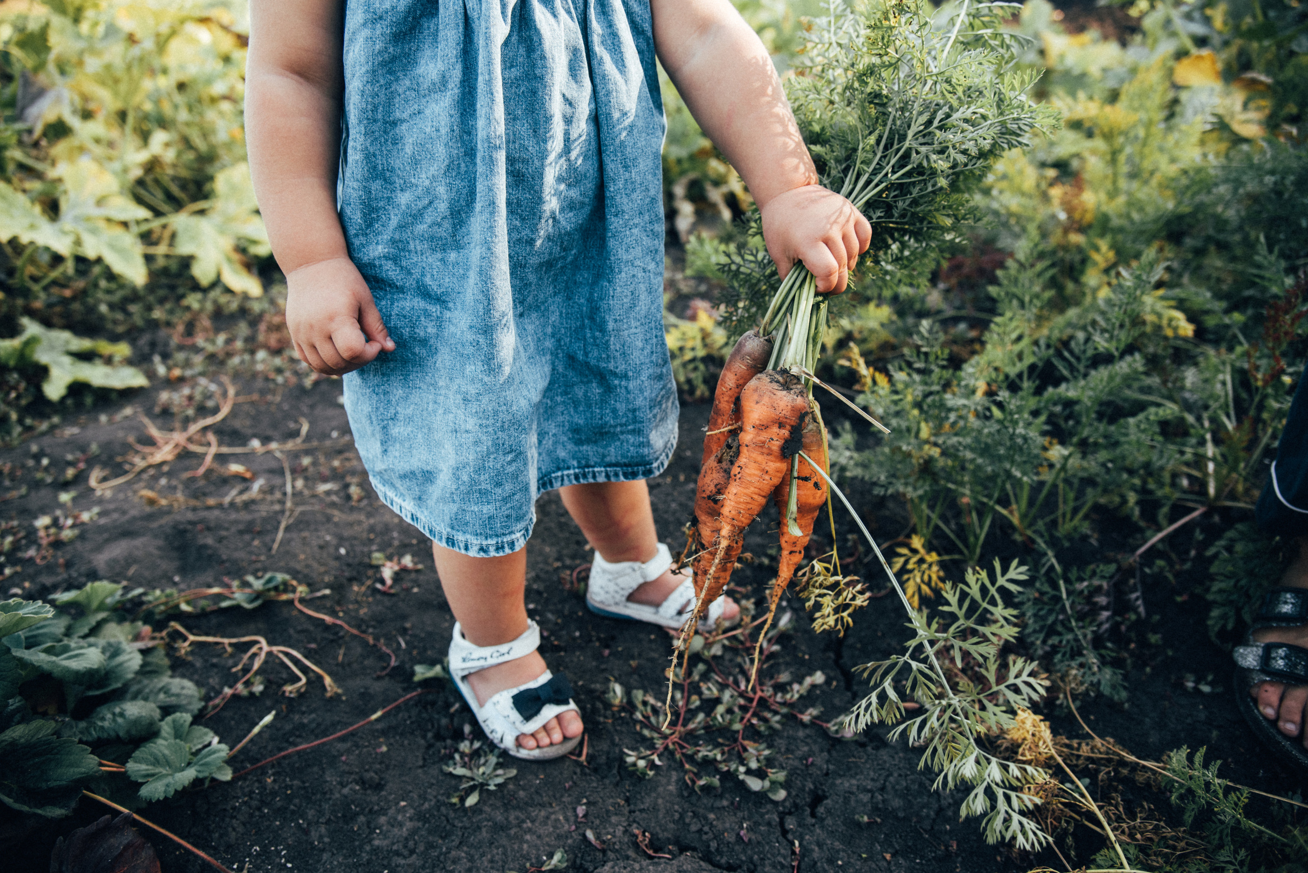 В деревне. Фотограф Милка Татьяна