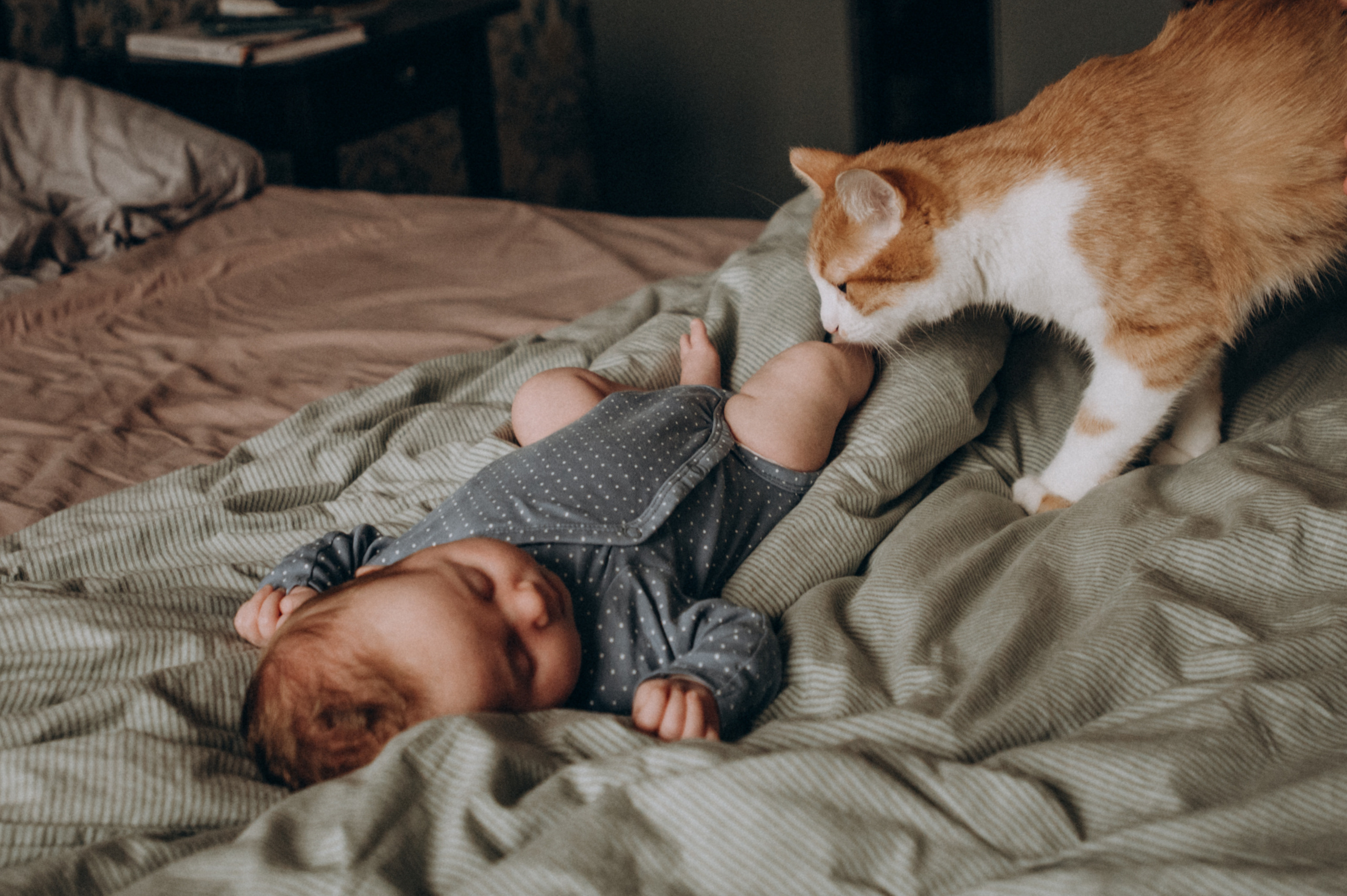 Аглая. Фотограф Милка Татьяна