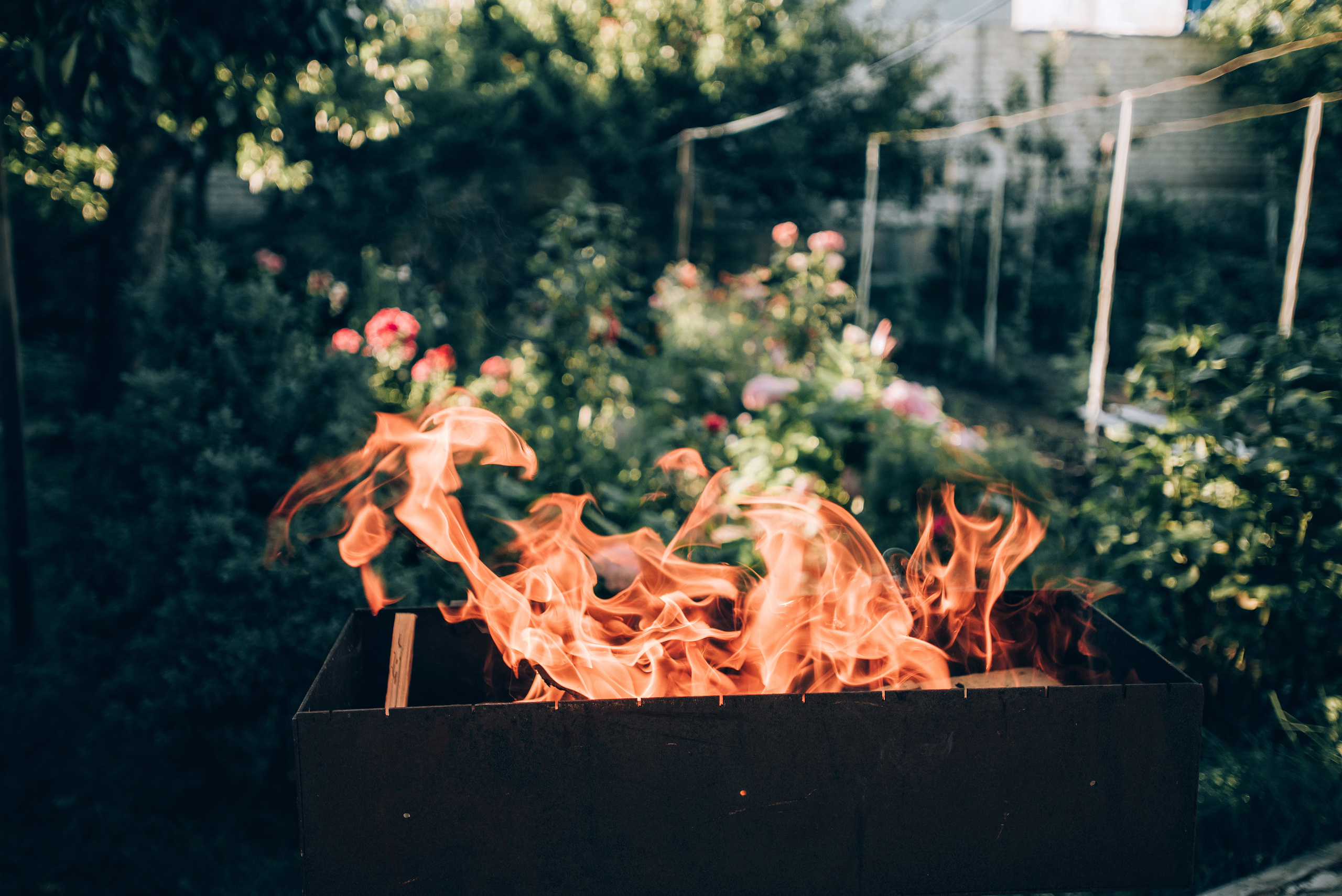 Черепановы. Фотограф Милка Татьяна