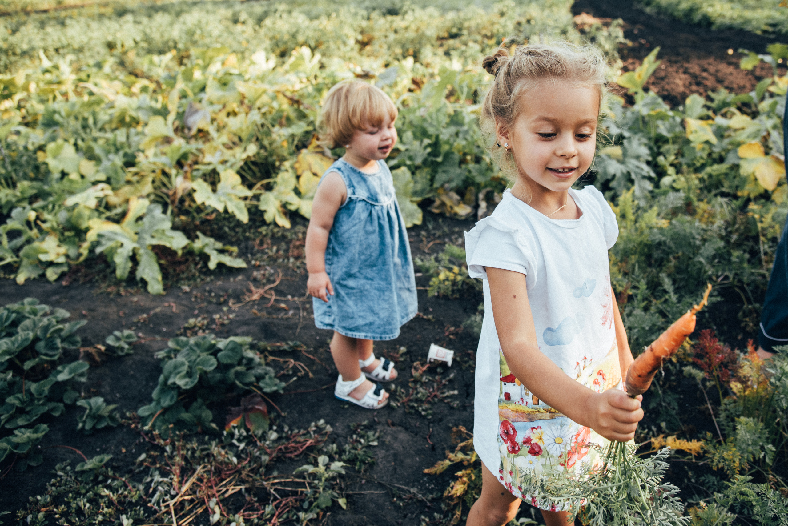 В деревне. Фотограф Милка Татьяна