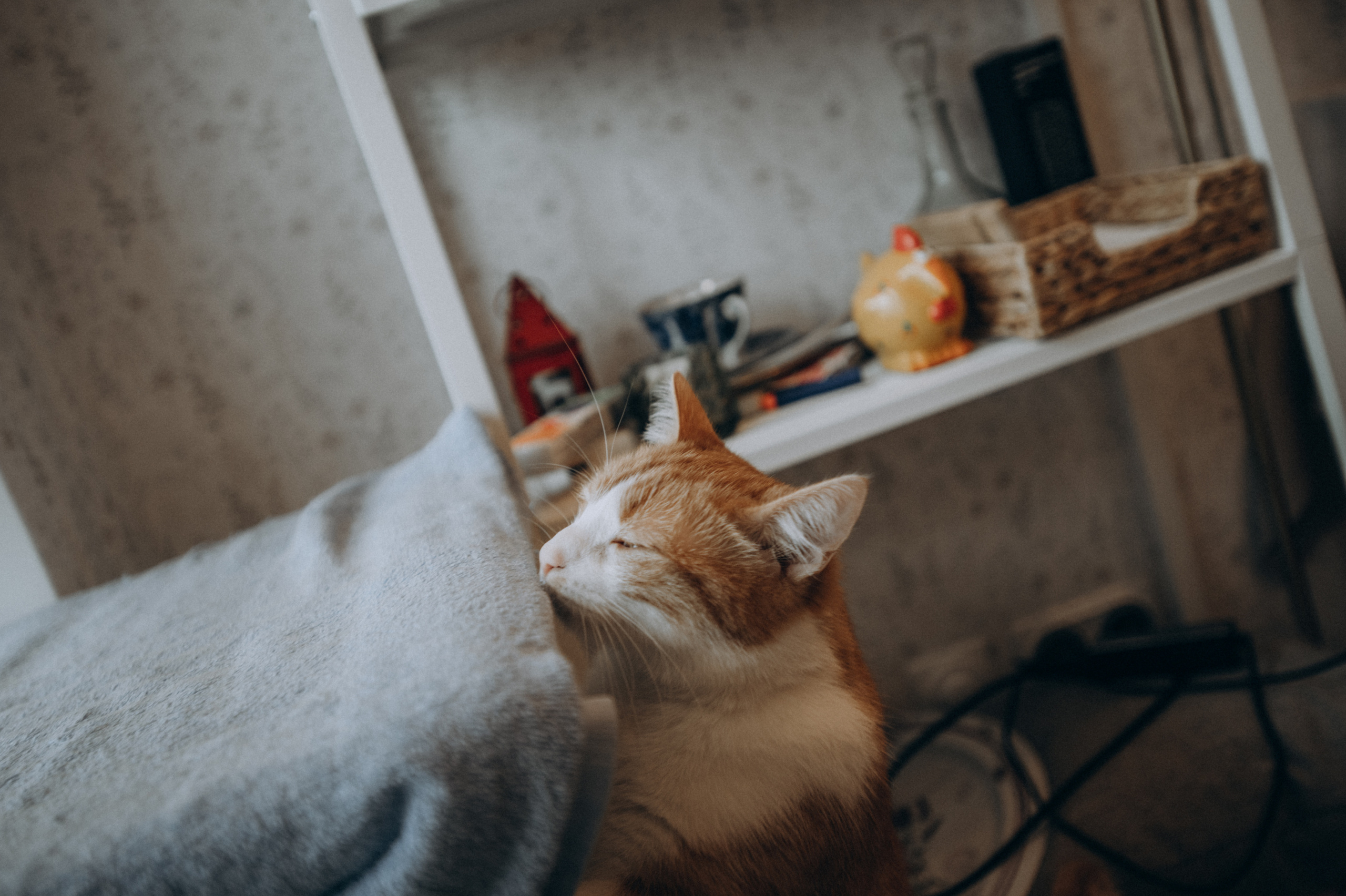 Аглая. Фотограф Милка Татьяна