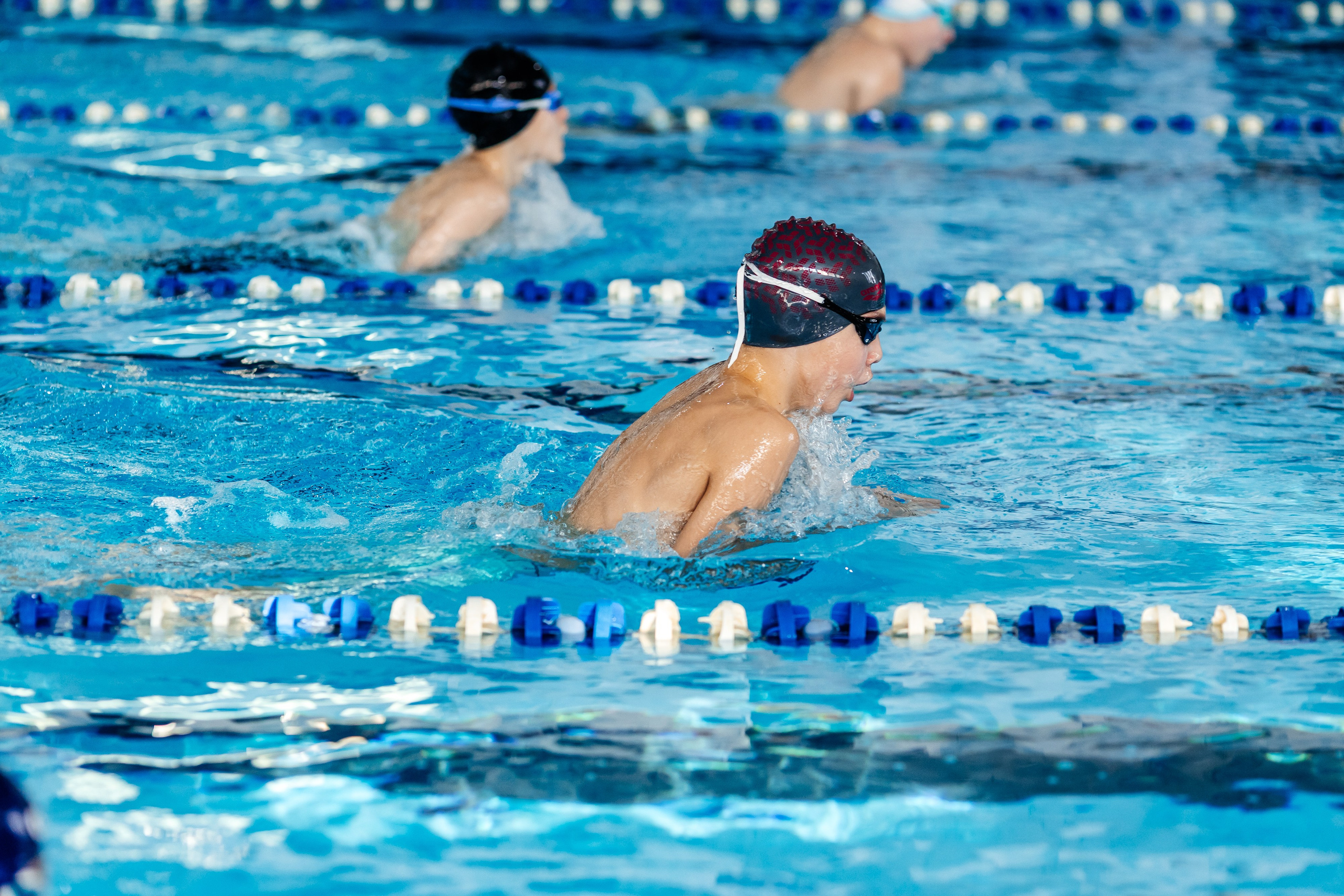 Школа плавания «Виктория». Свадебный фотограф в Краснодаре Николай Крауз