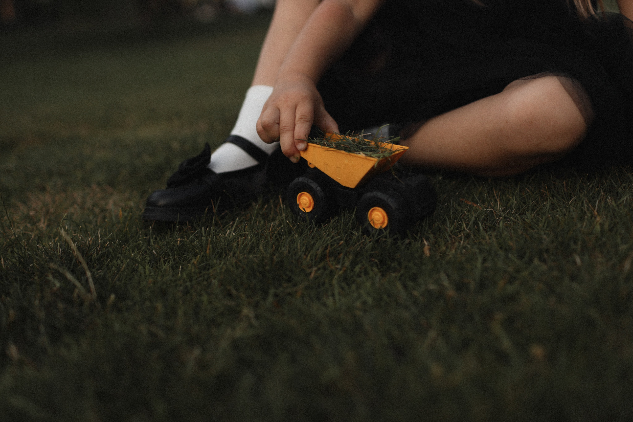 Mushrooms. Фотограф Воронцова Виталия Крым Севастополь