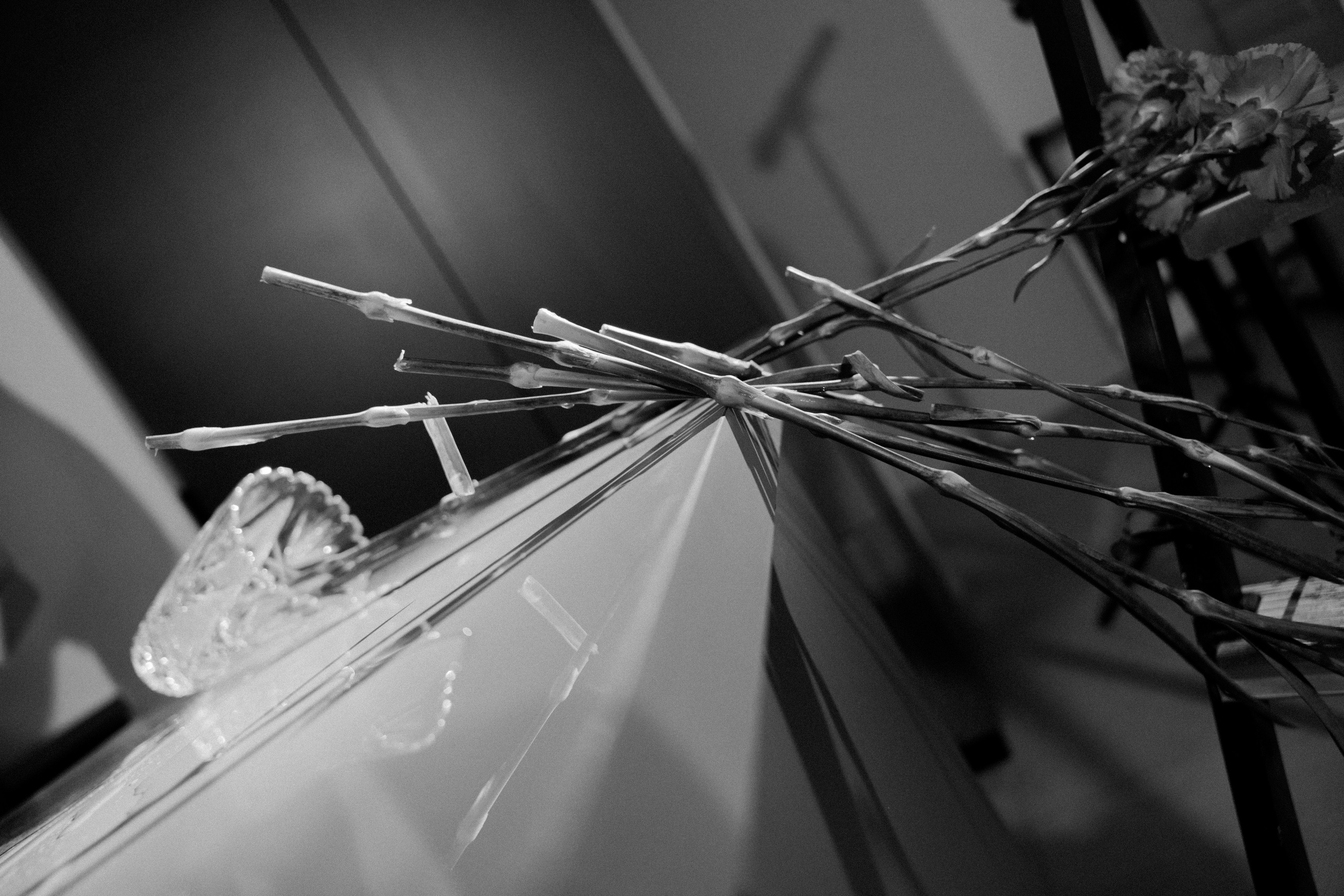 ◦ Света ◦. Главная