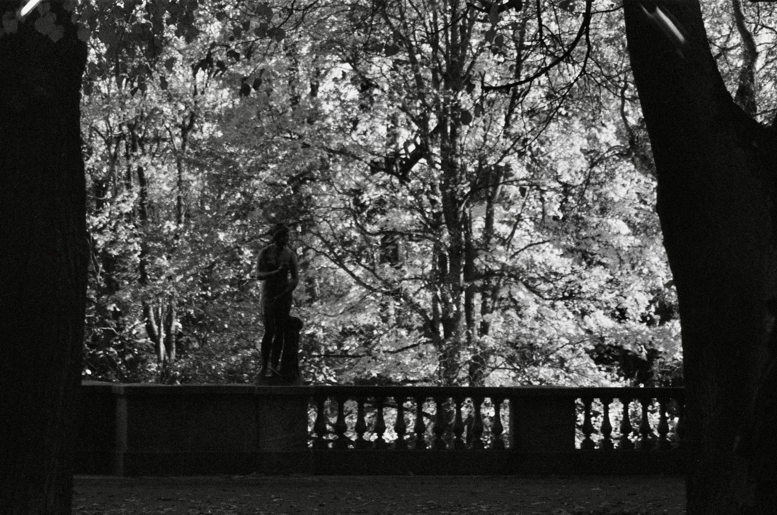 Film. Ruslan UI Dev Page