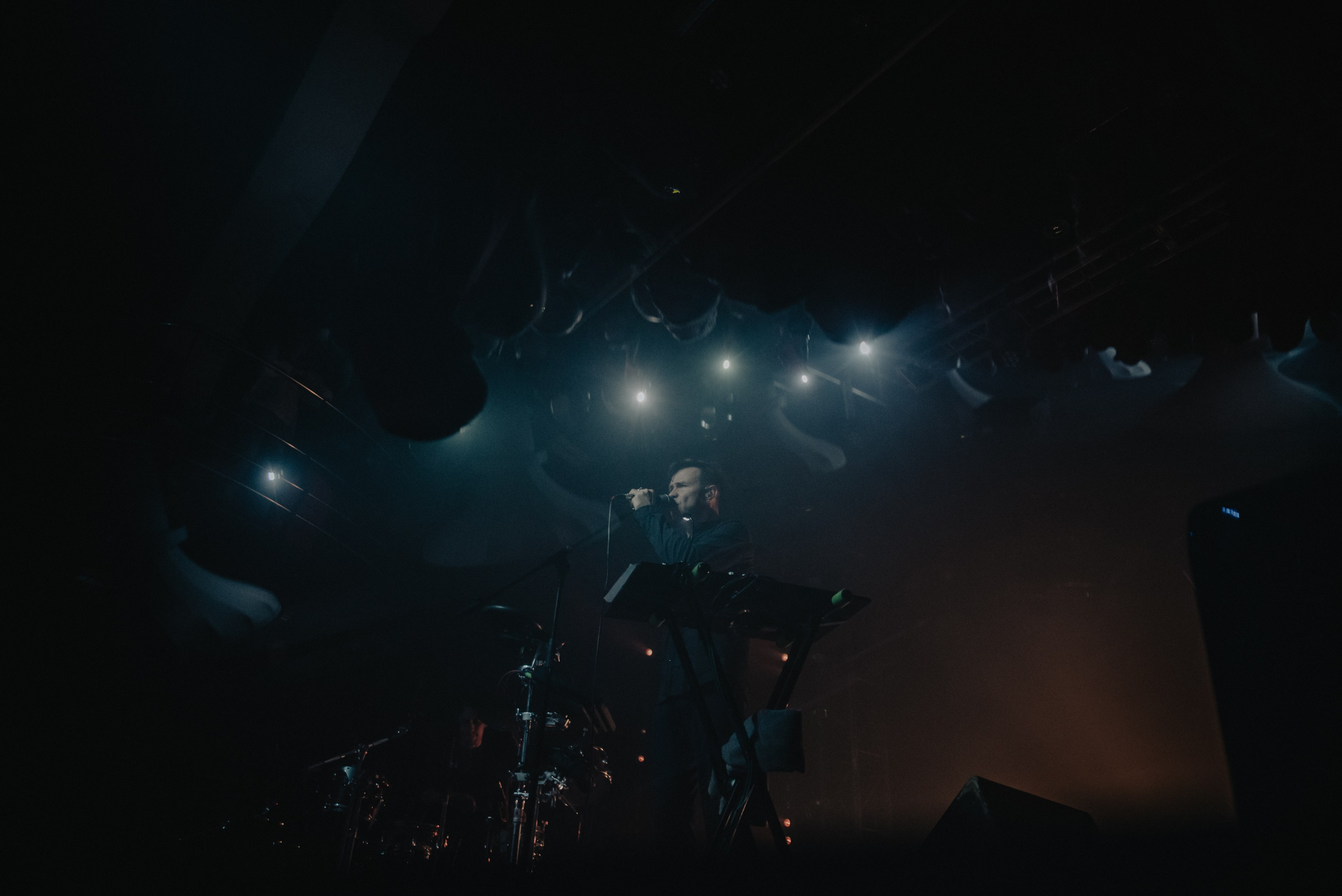 Дельфин | Gaudi. Контент фотограф Илья Урс