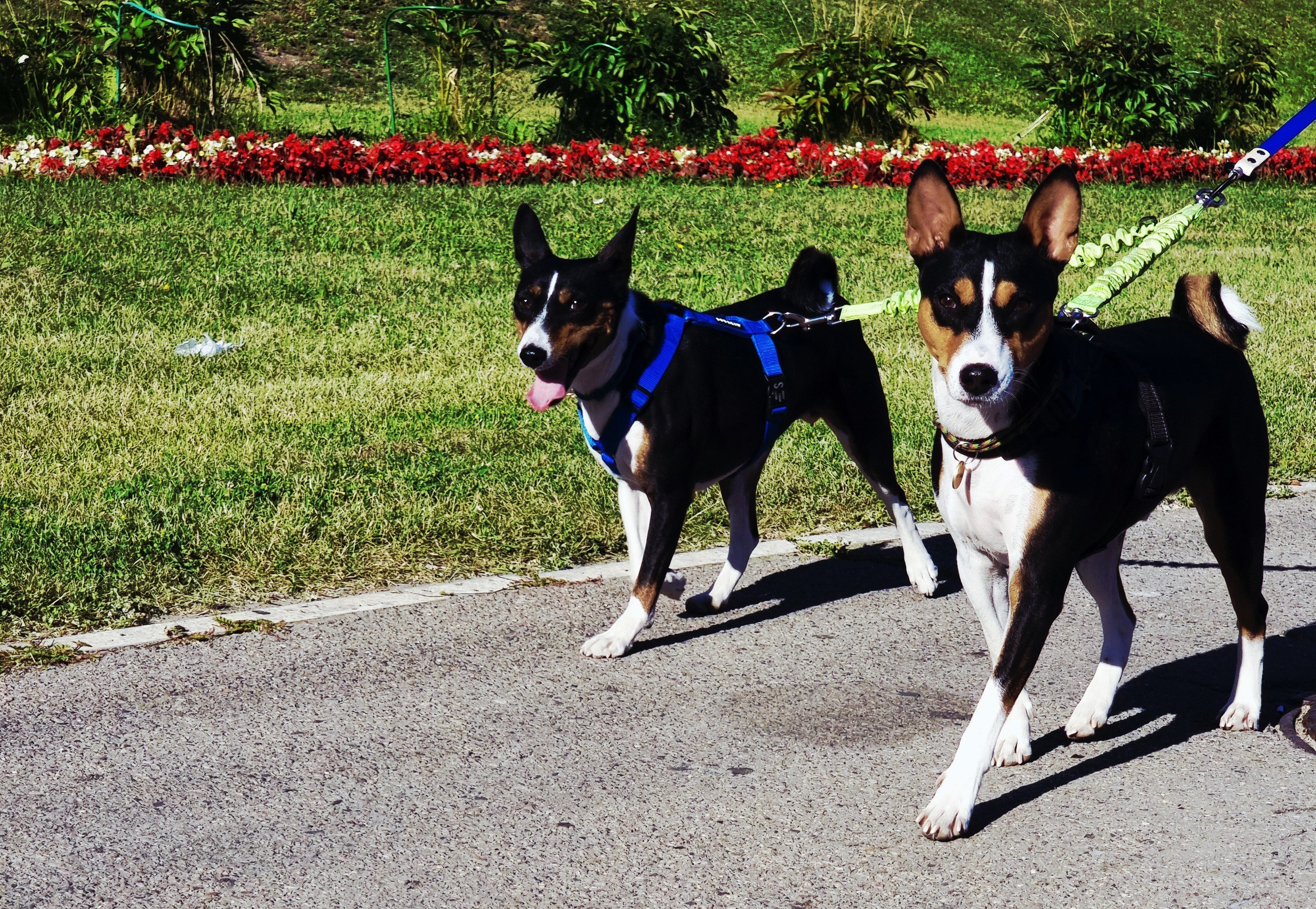 Июль 2025. Den Mirov — Фотограф, Музыкант