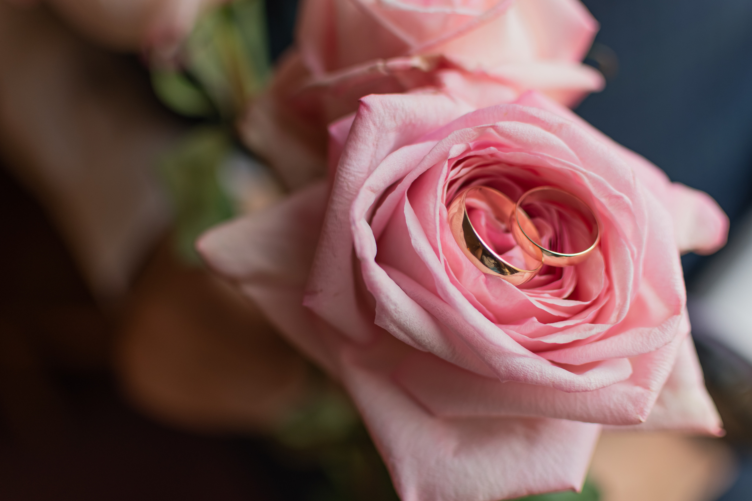 Октябрь, 2022 — Усадьба Серебряный бор. Свадебный и семейный фотограф Екатерина Пушан. Москва, Балашиха, Железнодорожный, Солнечногорск