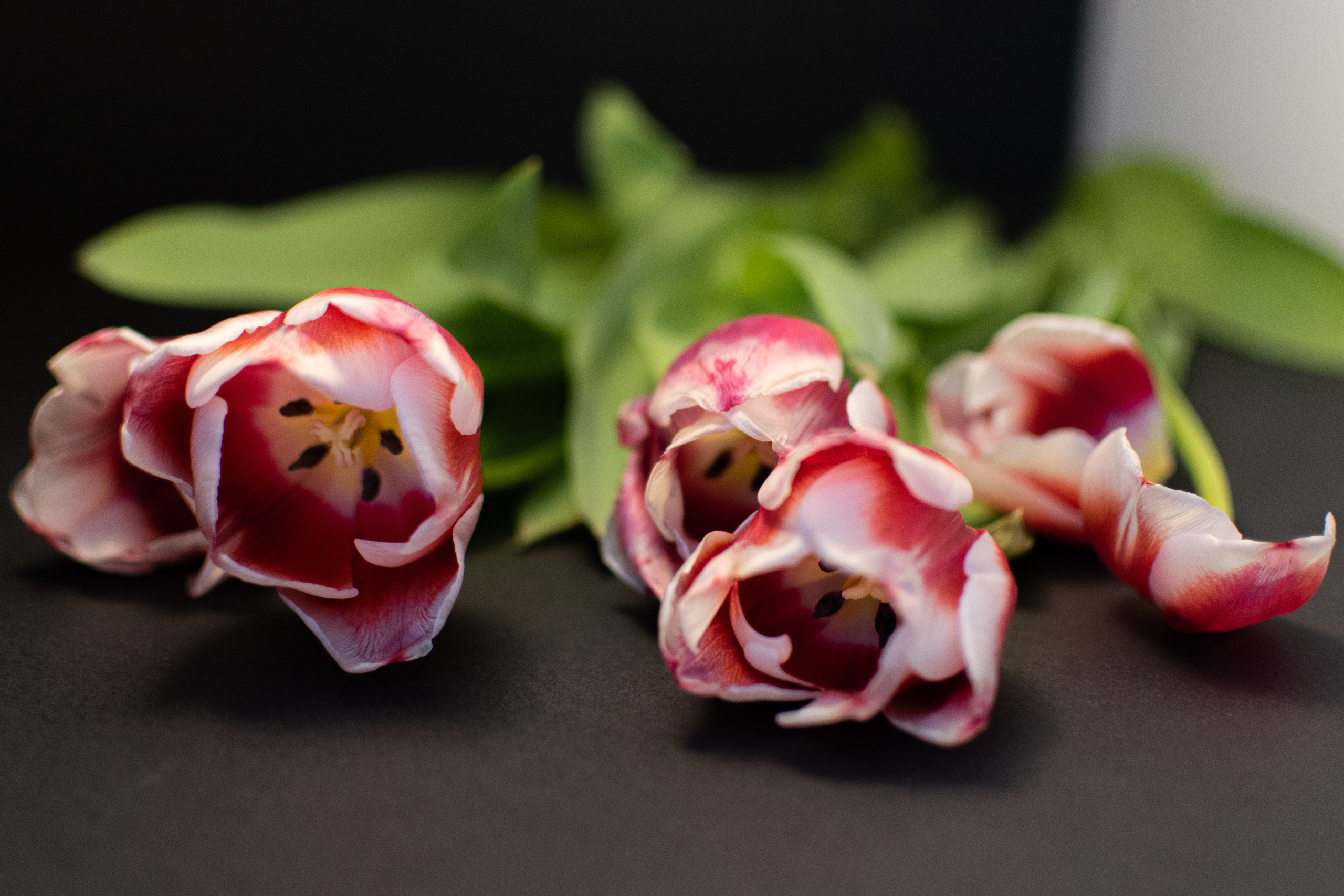 Фотосессия для флориста на продажу цветов