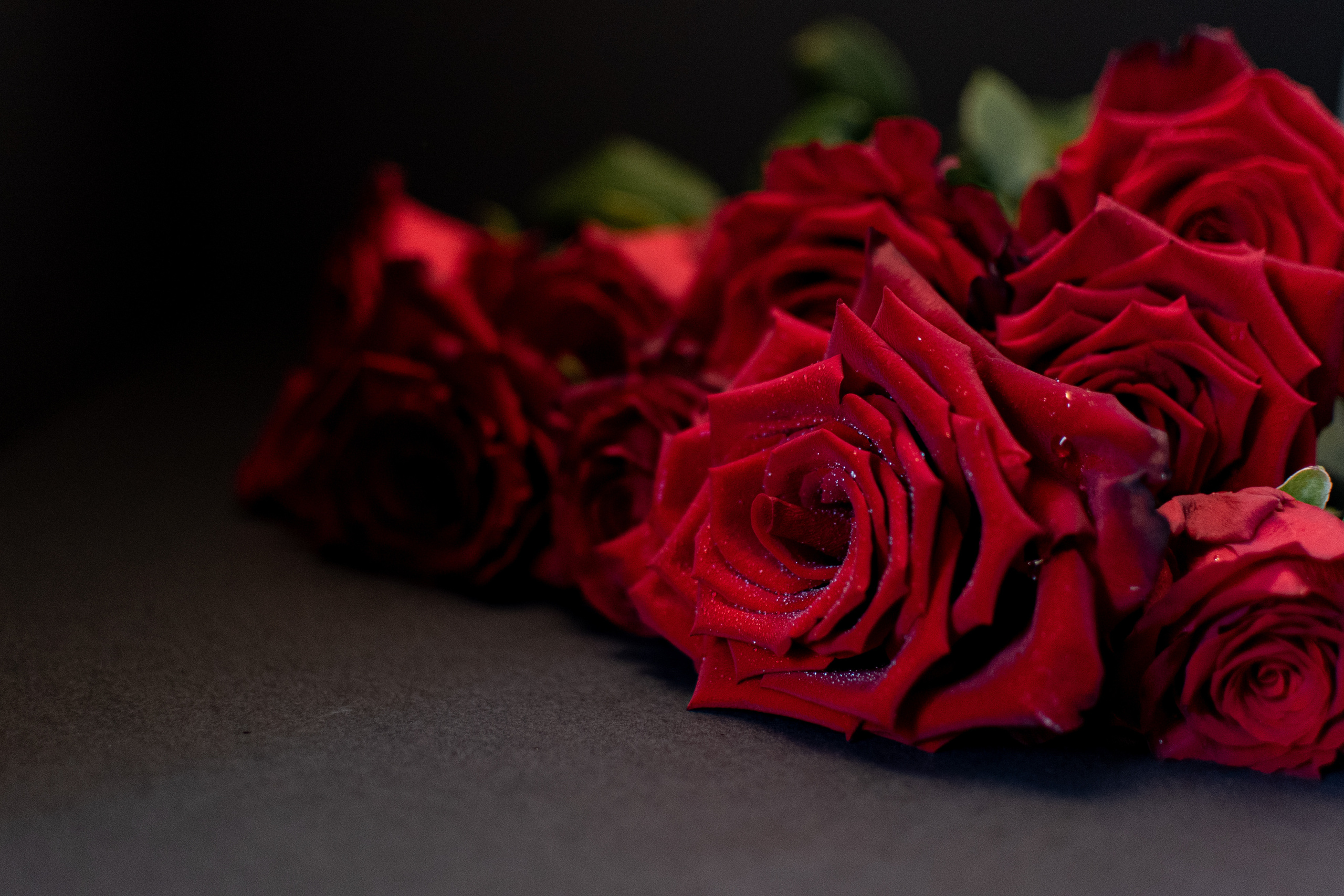 Фотосъемка цветов