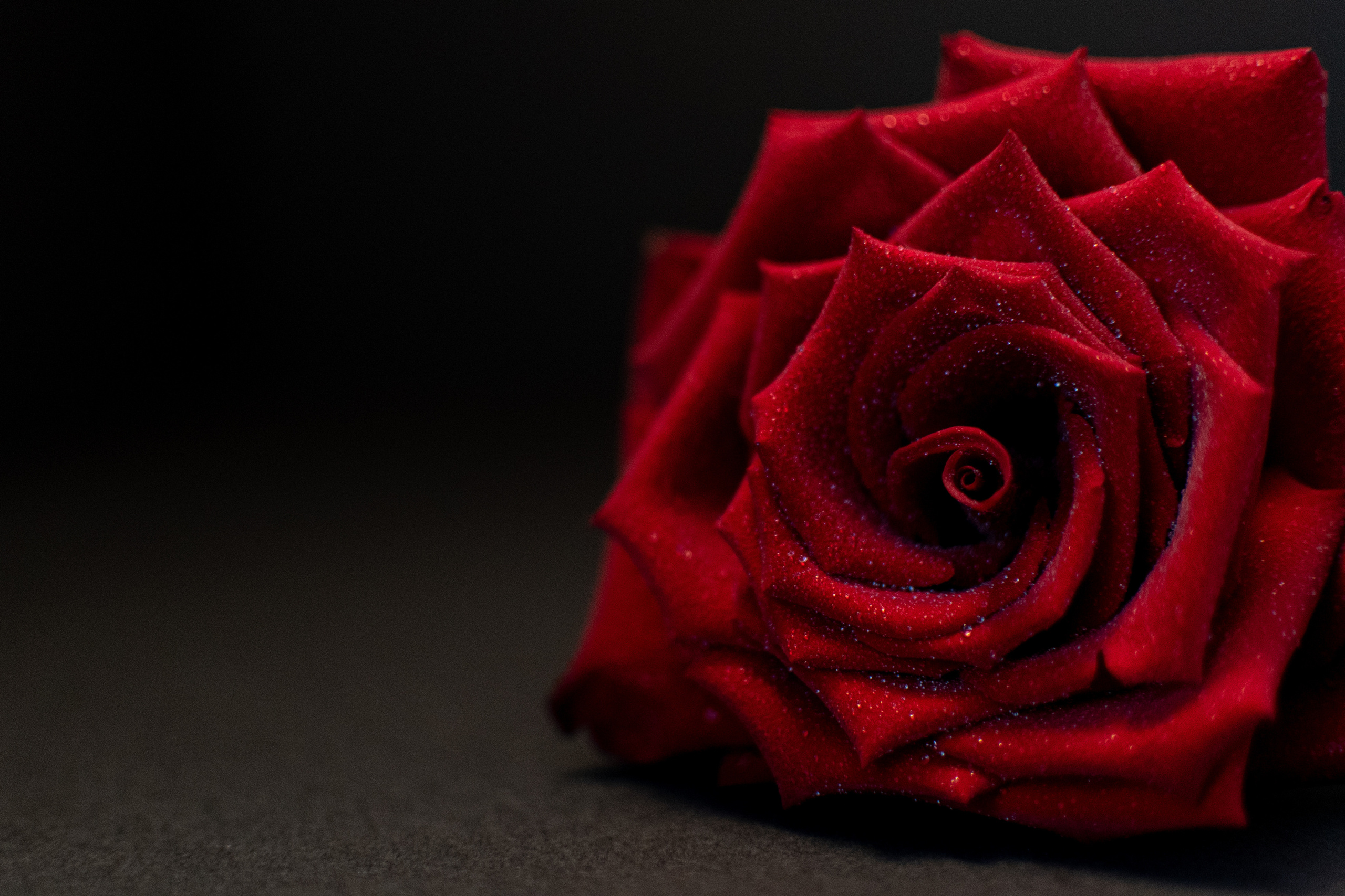 Фотосессия для магазина цветов Балашиха