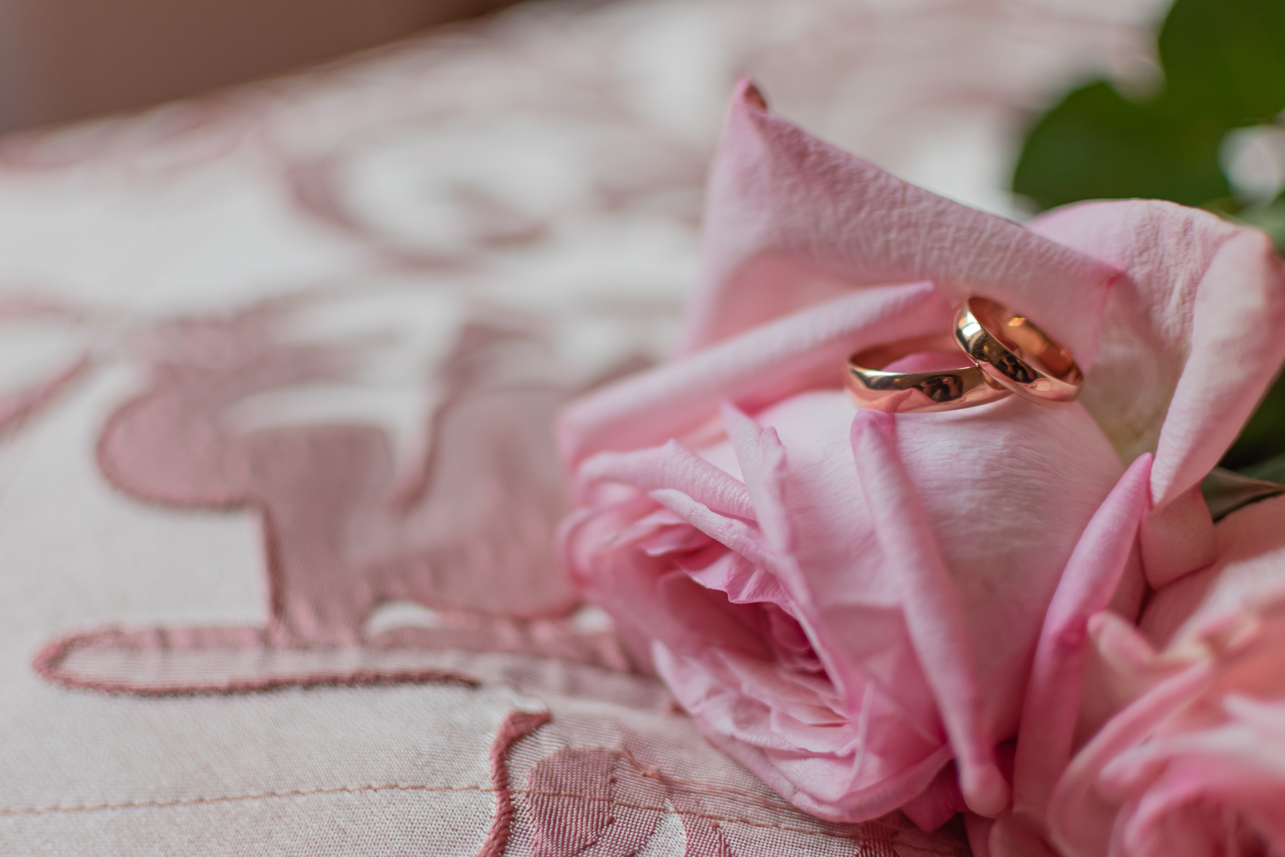 Октябрь, 2022 — Усадьба Серебряный бор. Свадебный и семейный фотограф Екатерина Пушан. Москва, Балашиха, Железнодорожный, Солнечногорск