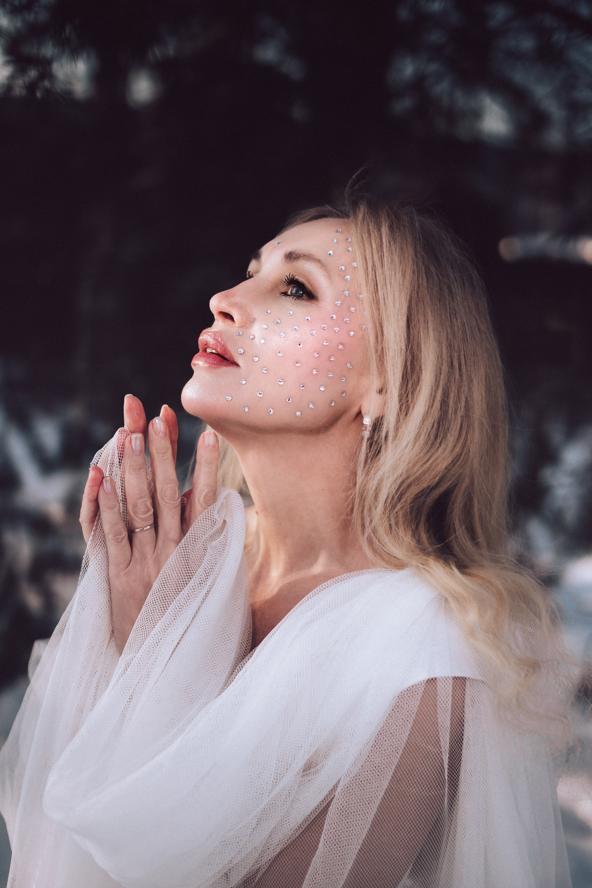 Царевна Лебедь. Светлана Аброщикова