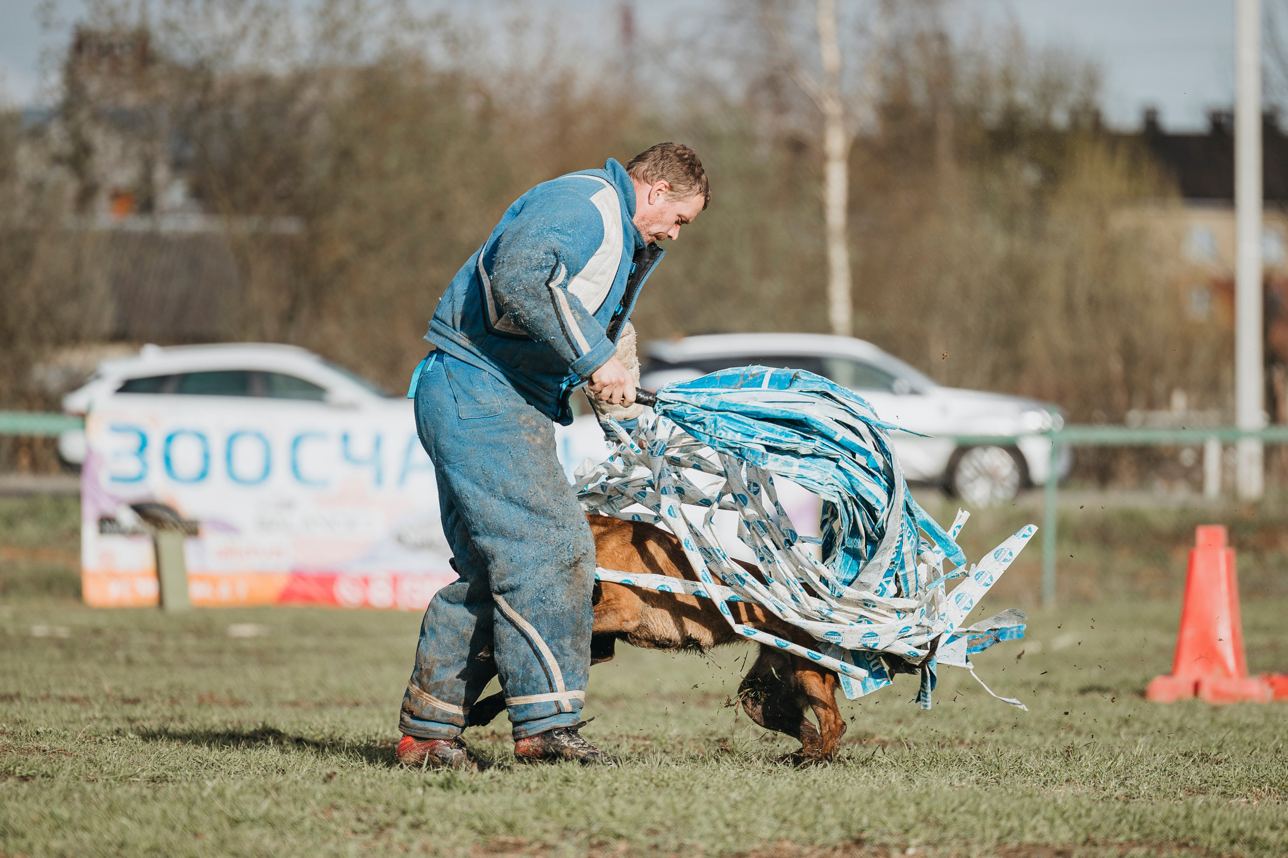 09.05.25 Вологда соревнования. Фотограф-анималист Анна Маринич