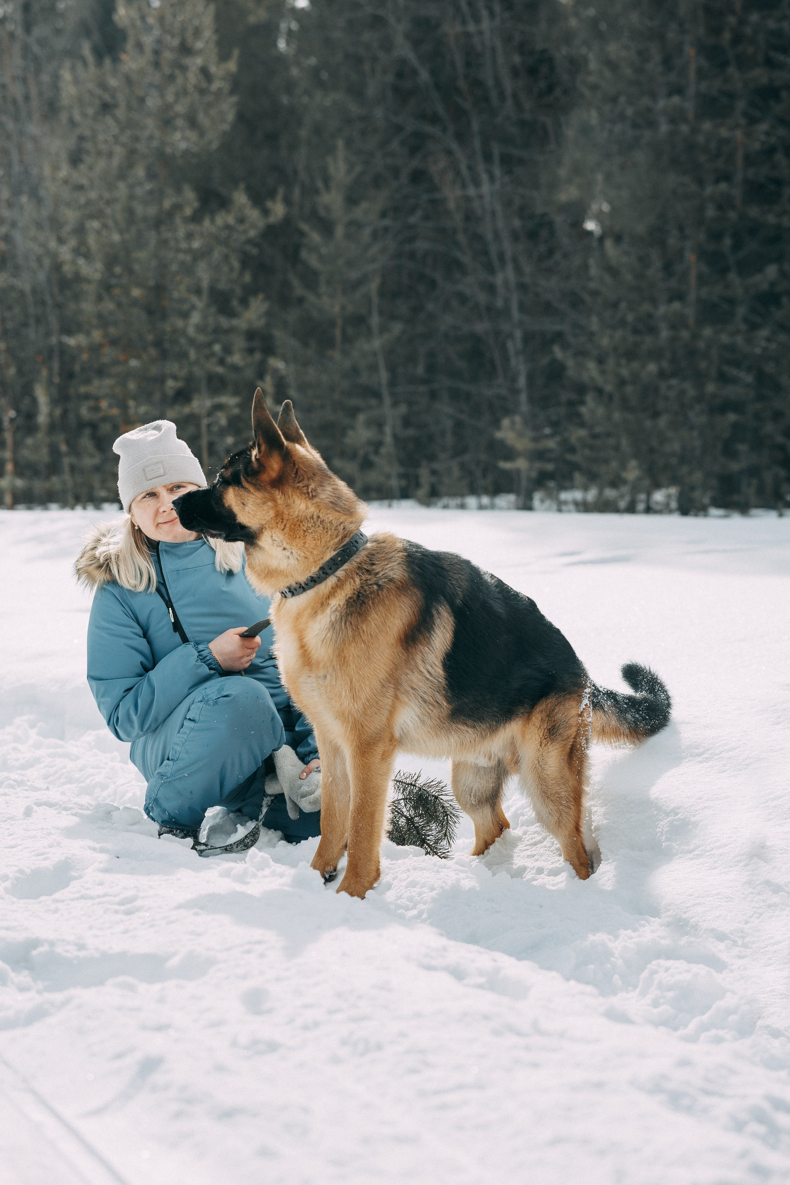 Зимняя фотосессия Анастасия и Евгений и их пёс по кличкеГранд. Артём Печерин фотограф в Оленегорске