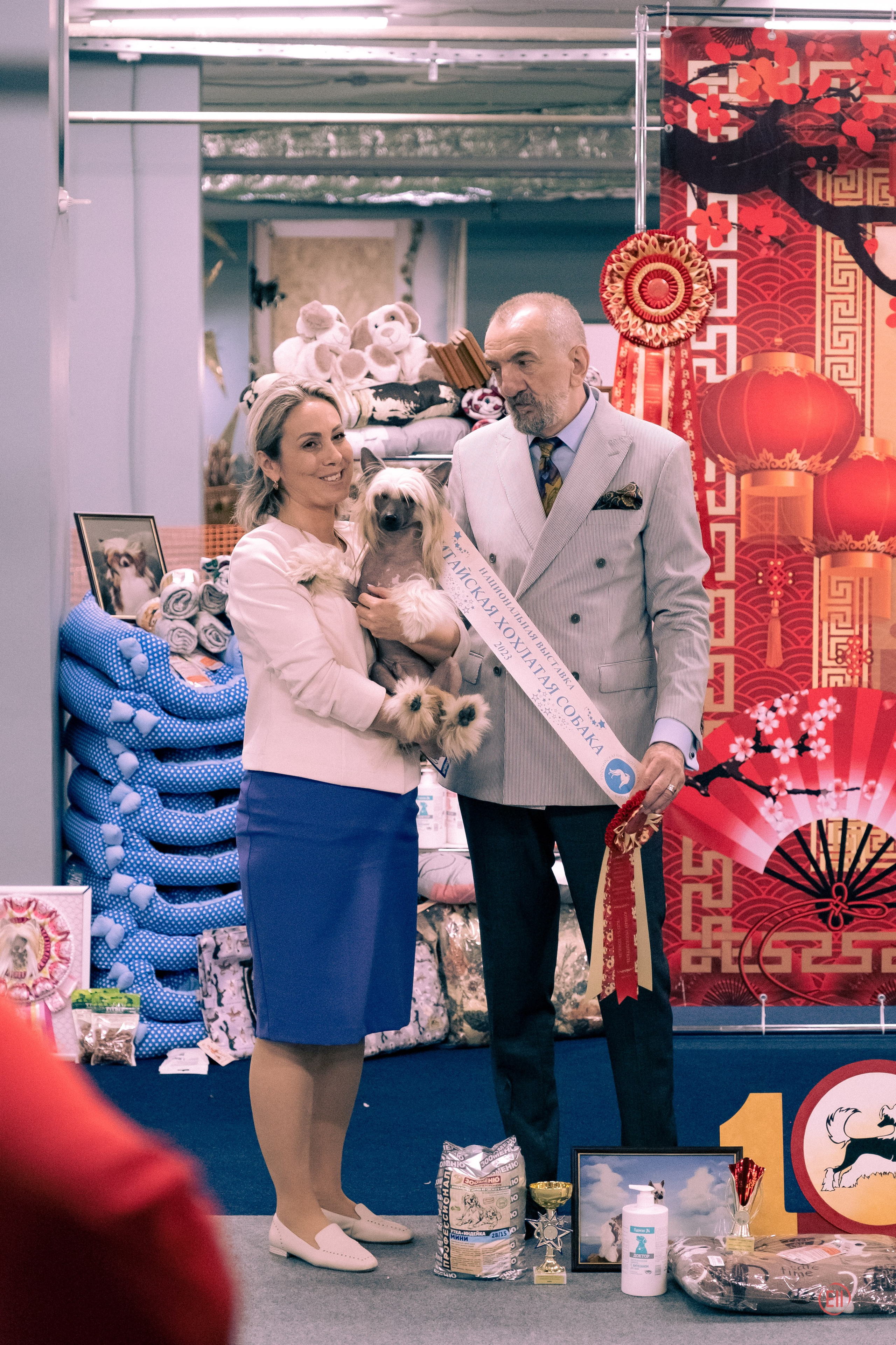 Национальная выставка китайских хохлатых собак 2023. Питомник китайских хохлатых собак Poale Ell: купить щенка