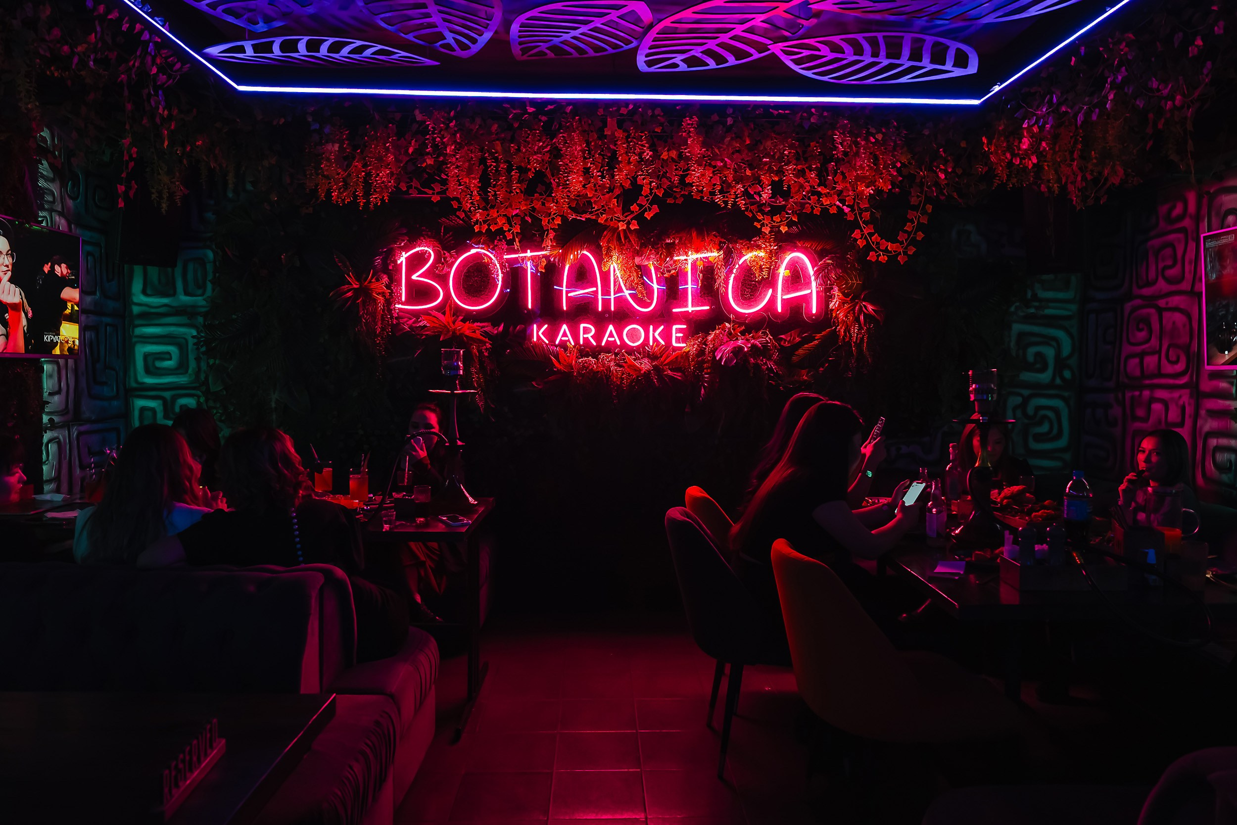 Botanica. Кипятком Павлодар