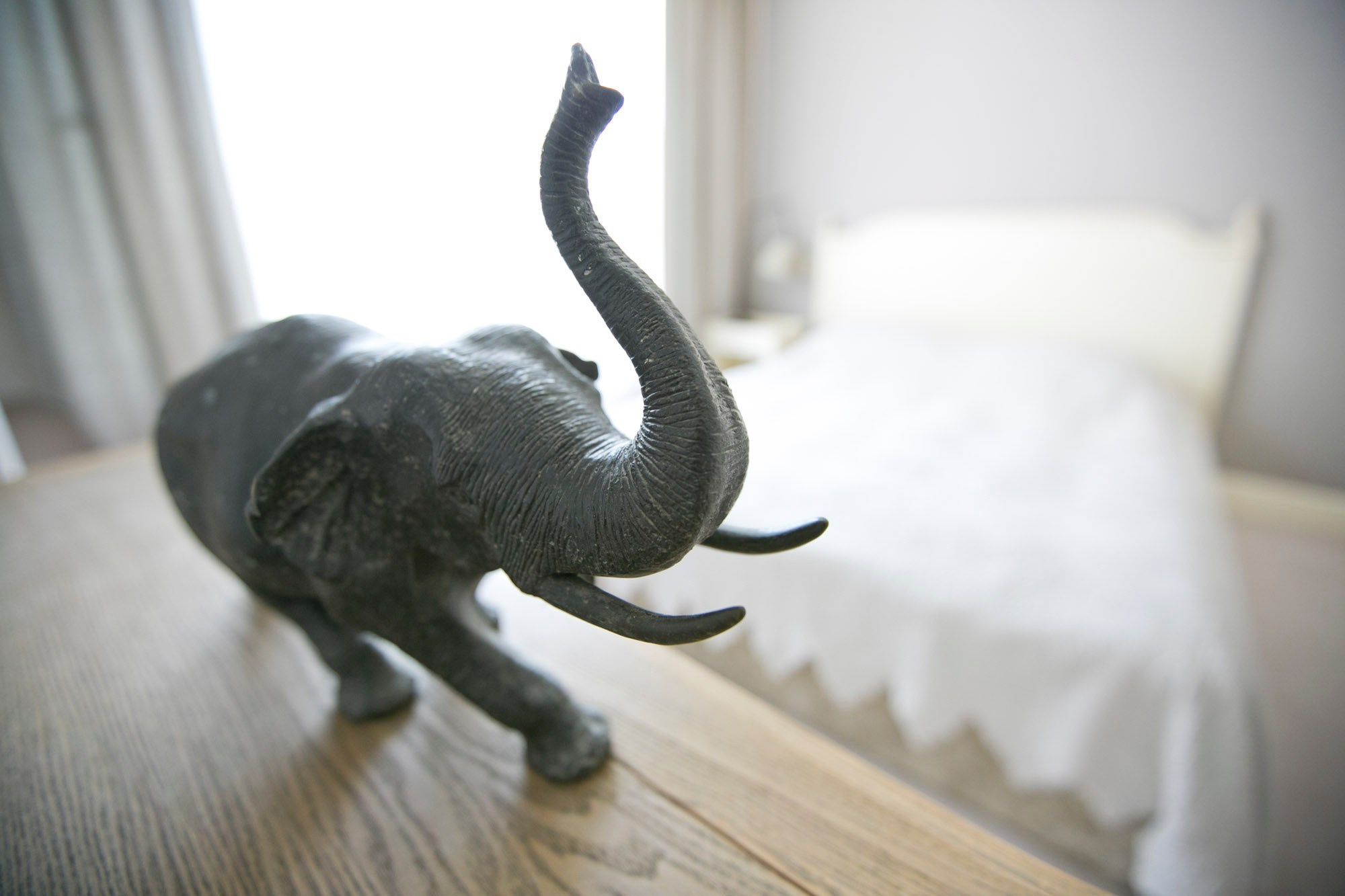 Недвижимость. Фотограф Красная Поляна — Сочи — Москва