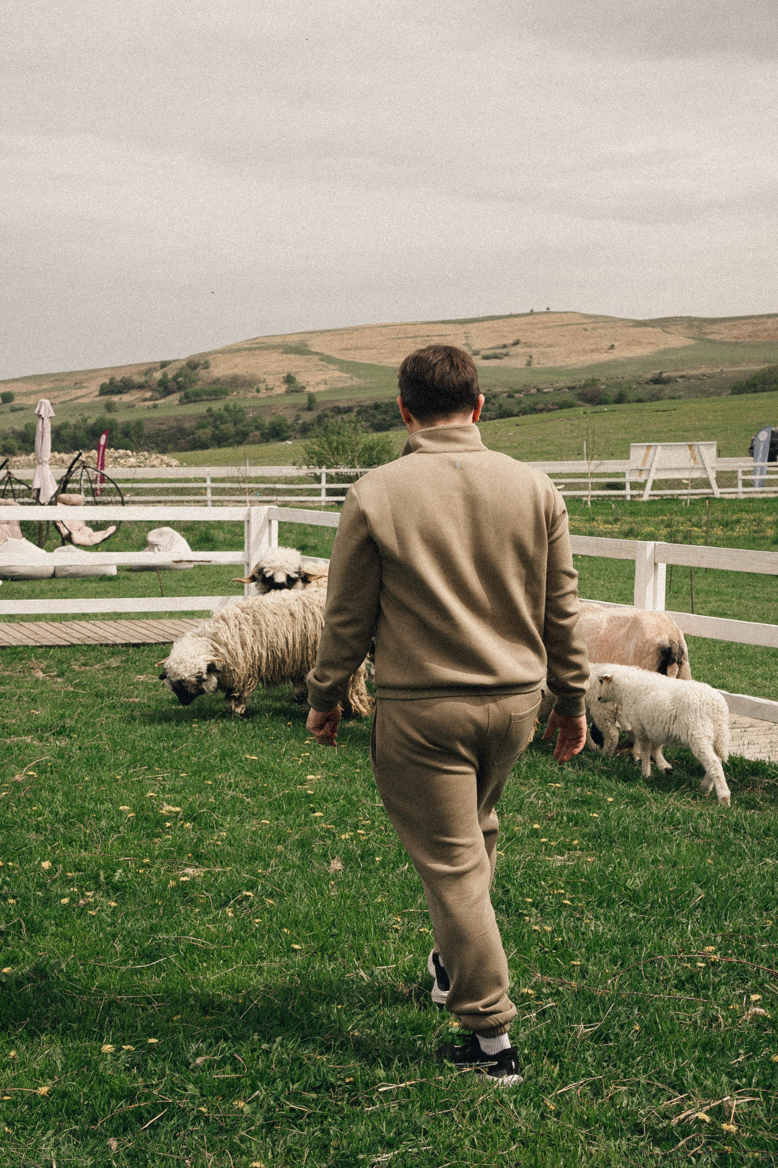 Ферма Альпак. Профессиональный фотограф, Санкт-Петербург — Виктория Богомолова