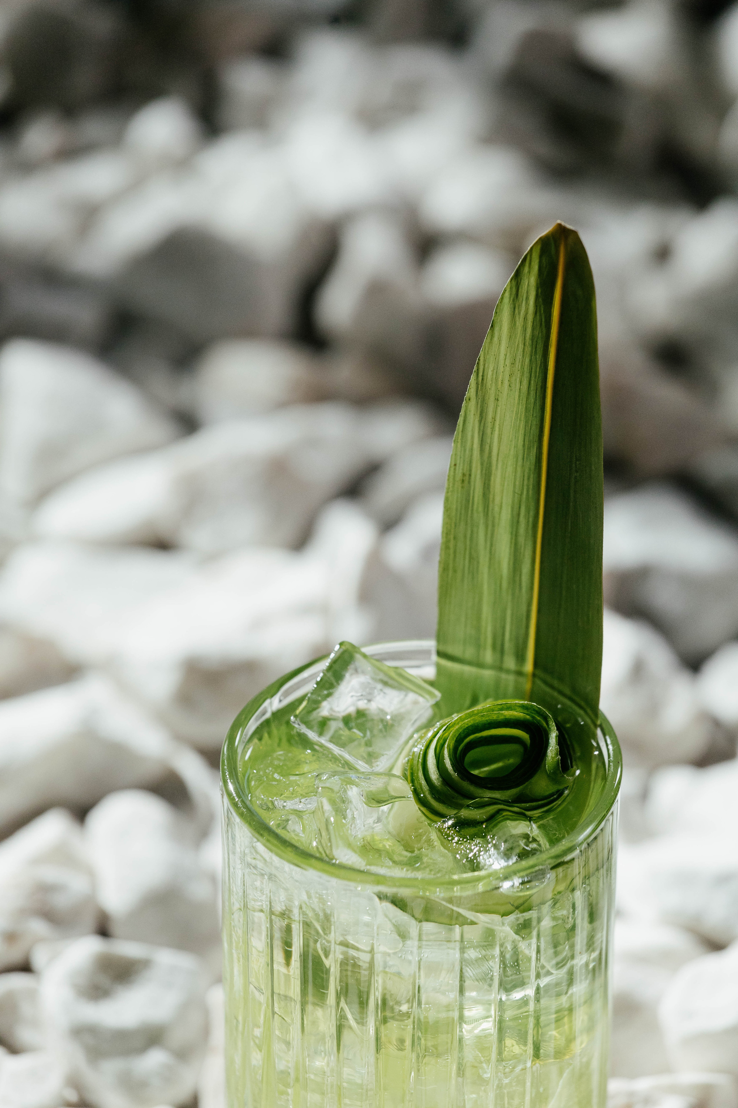 Сад Lounge. Контент фотограф в Ростове-на-Дону Мардус Павел