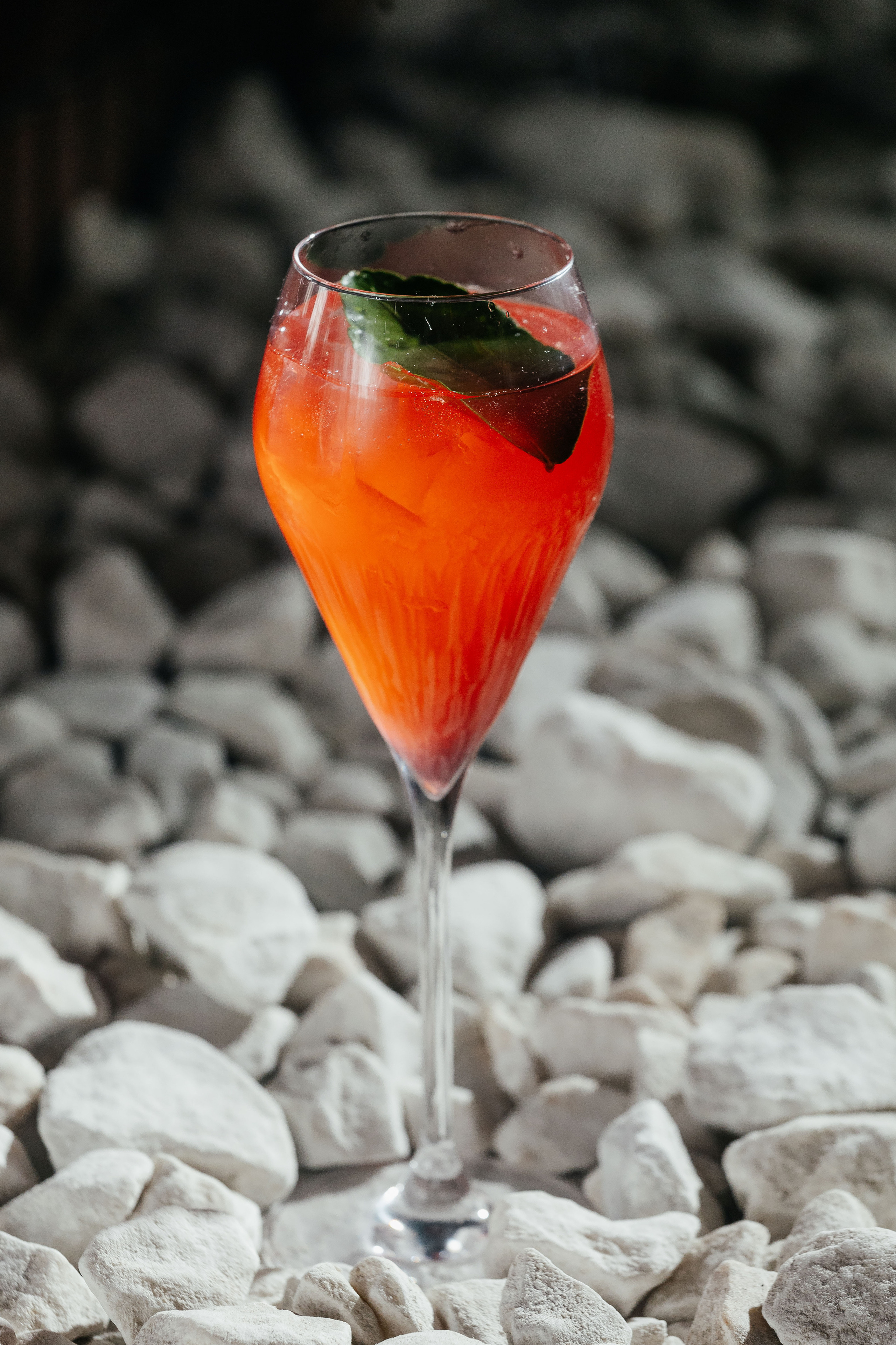 Сад Lounge. Контент фотограф в Ростове-на-Дону Мардус Павел