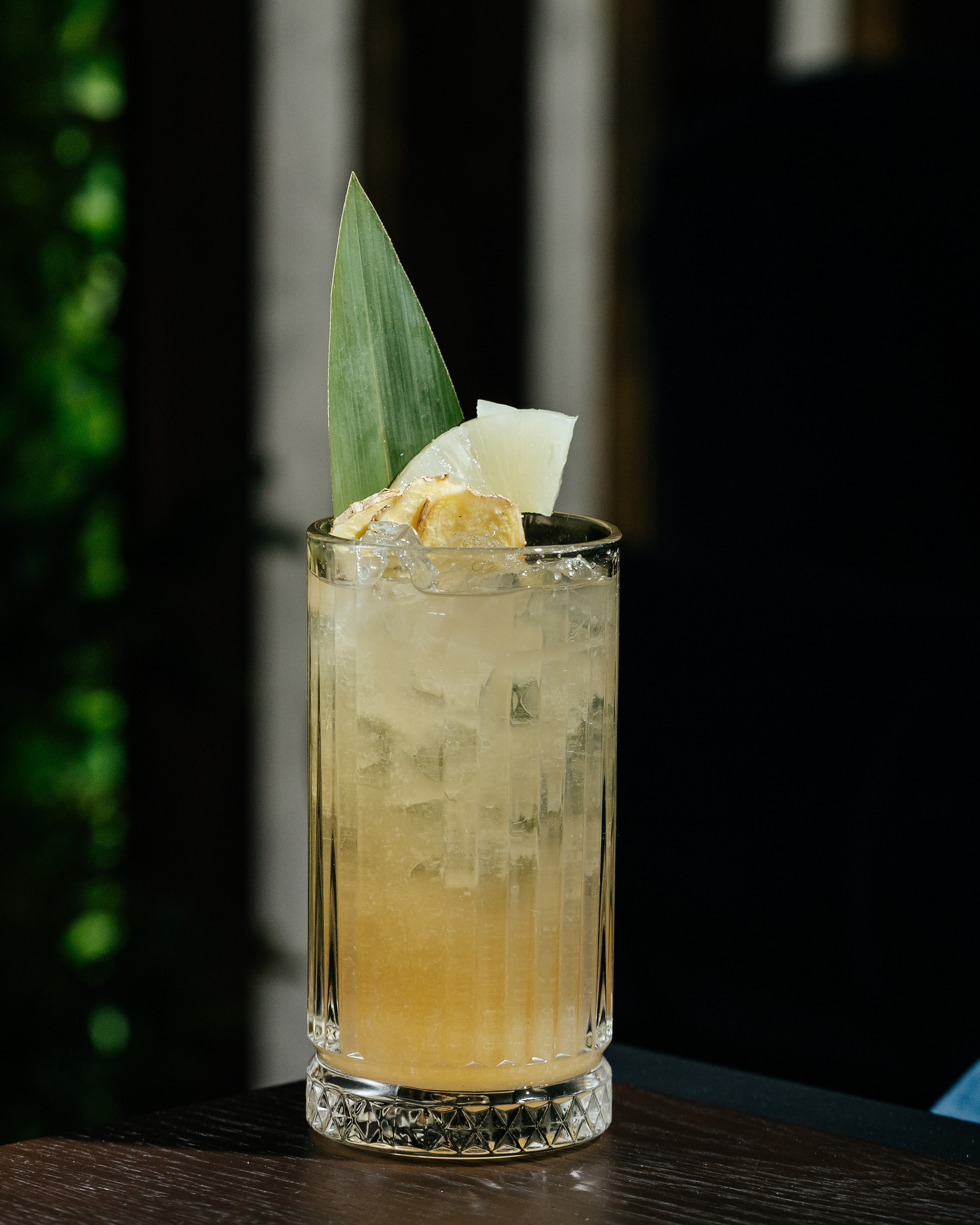 Сад Lounge. Контент фотограф в Ростове-на-Дону Мардус Павел